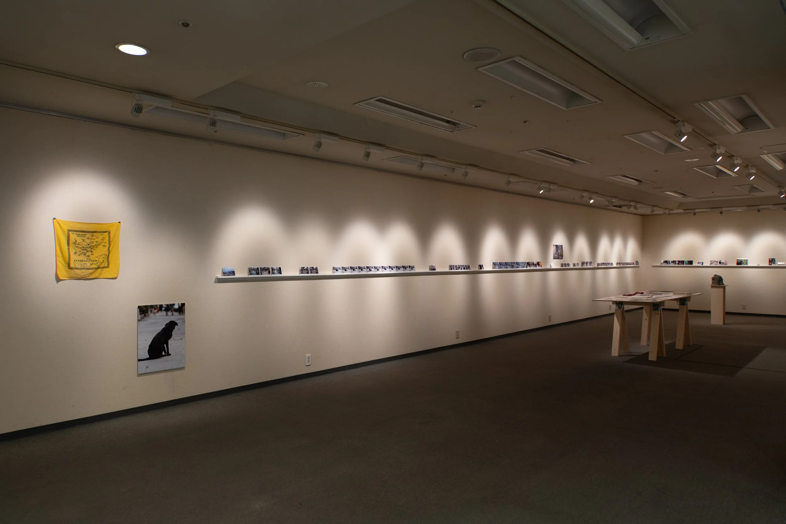 P1073390.jpg