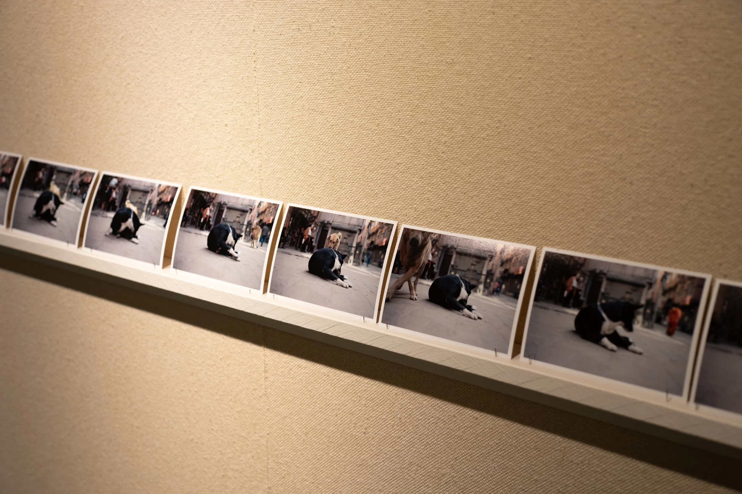 P1073398.jpg
