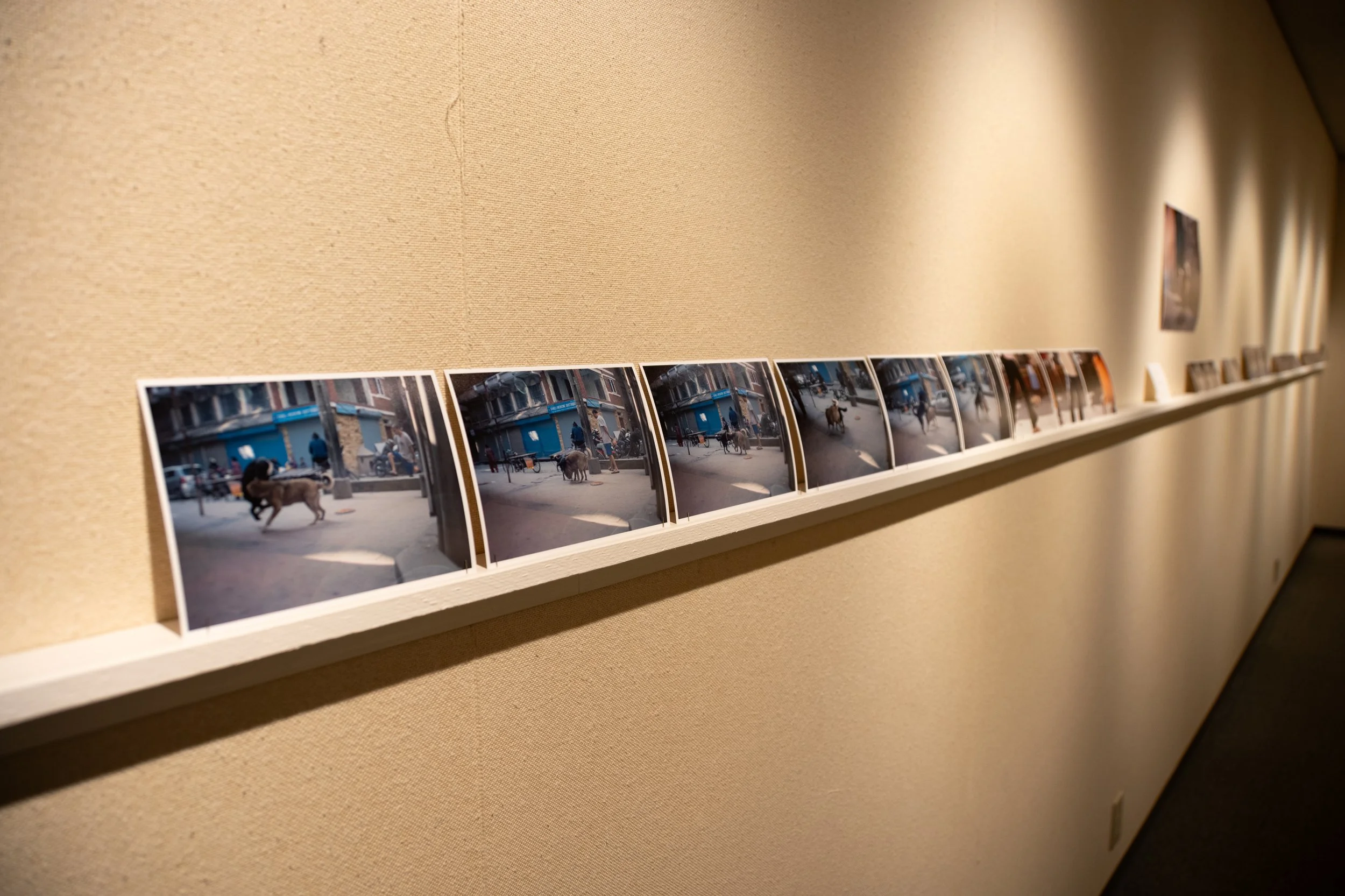 P1073407.jpg