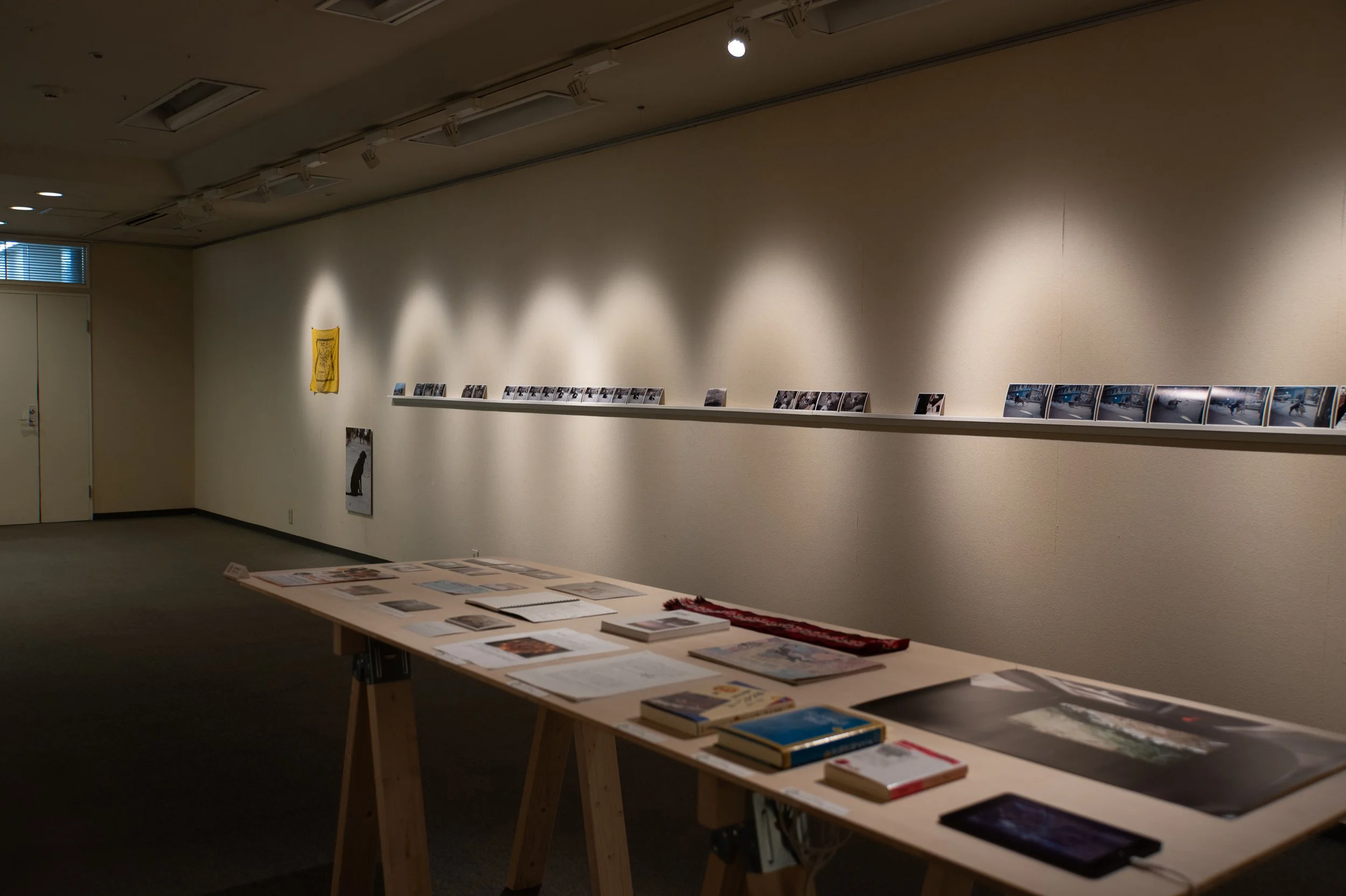 P1073444.jpg