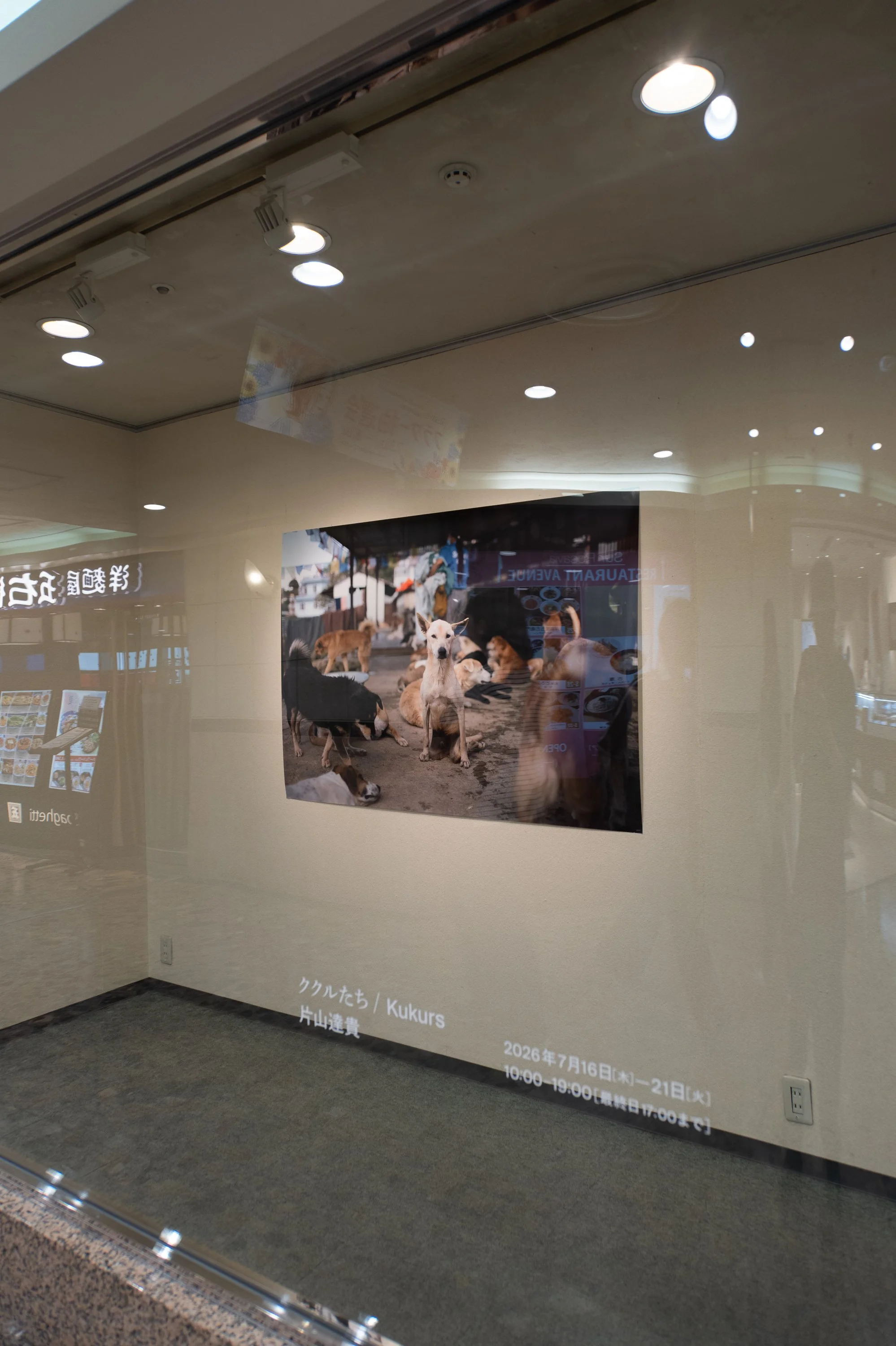 P1073429.jpg
