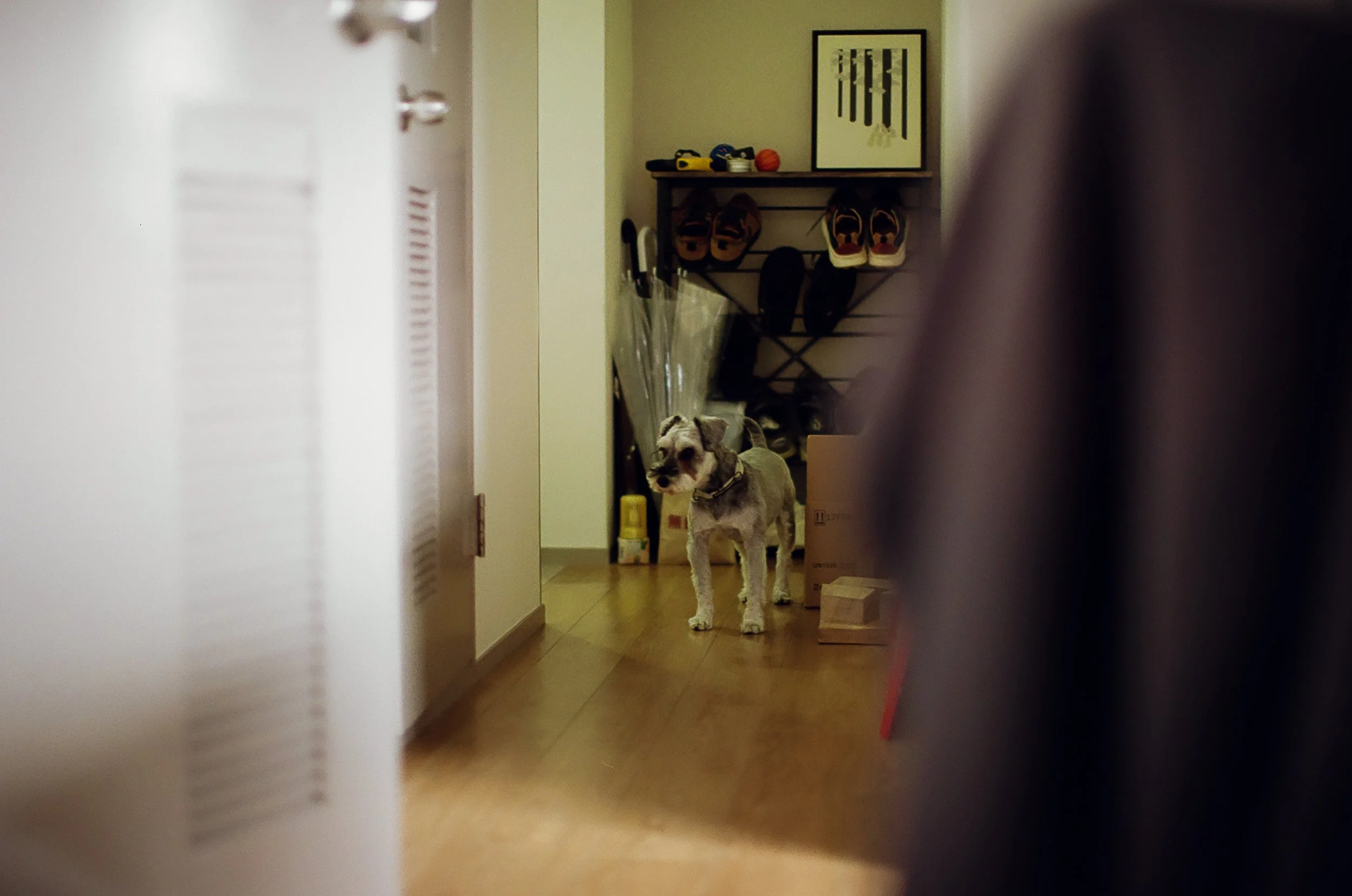 0033_33A.jpg