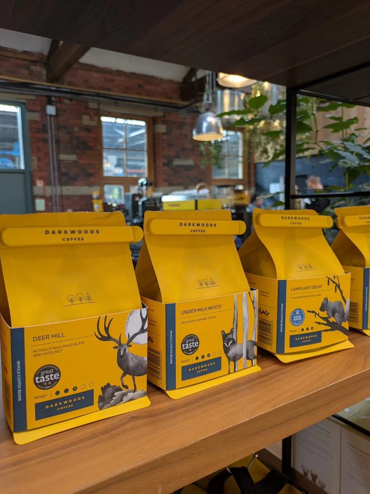 WhatsApp Image 2025-09-16 at 15.03.39.jpeg