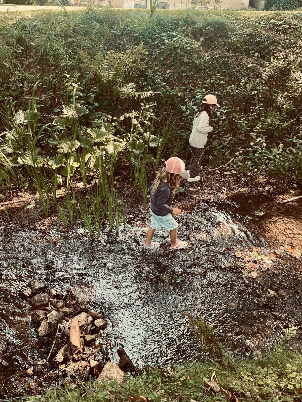 WhatsApp Image 2025-05-05 at 14.38.14(1).jpeg