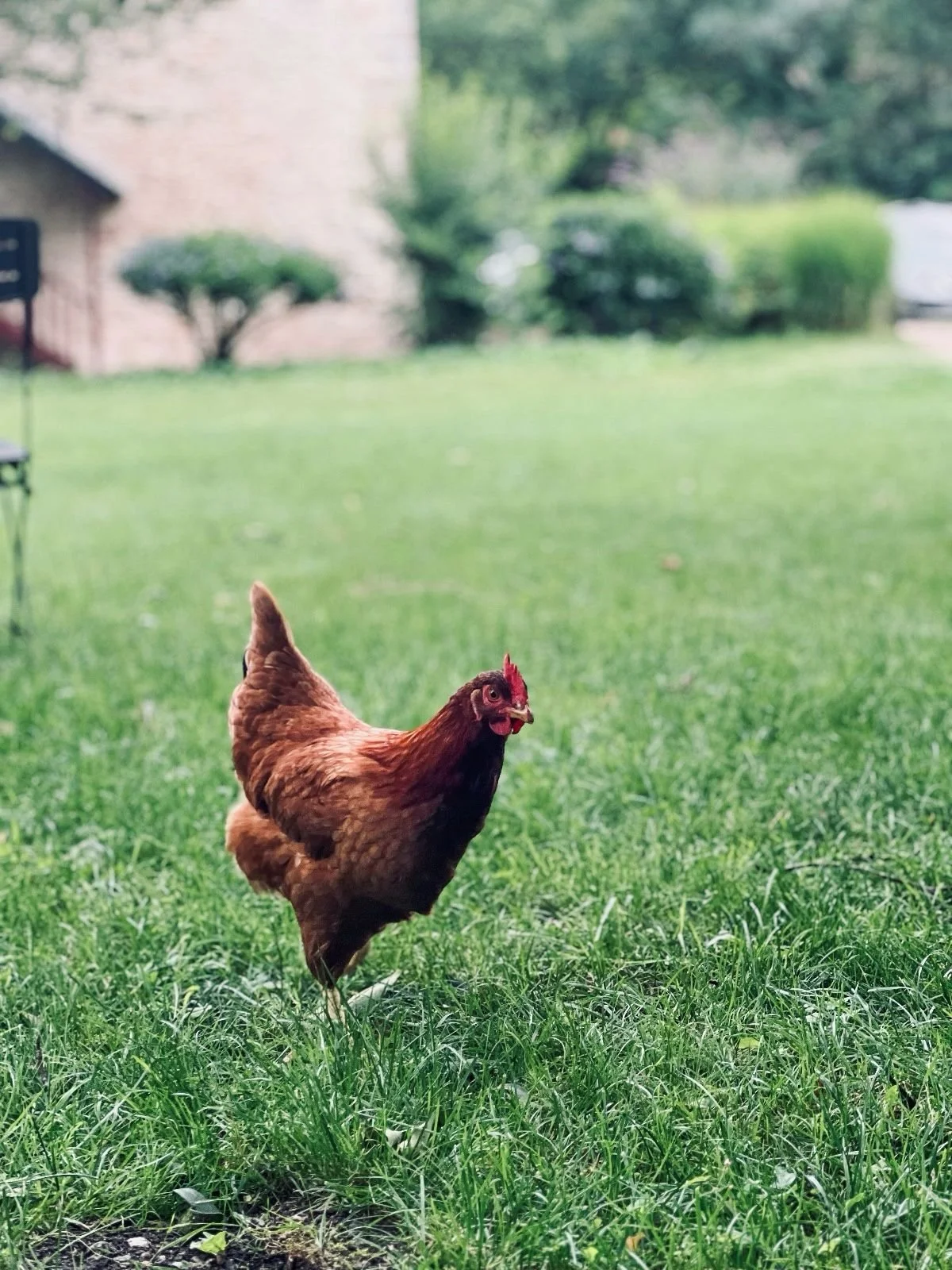 WhatsApp Image 2025-03-19 at 01.30.41 copie.jpeg