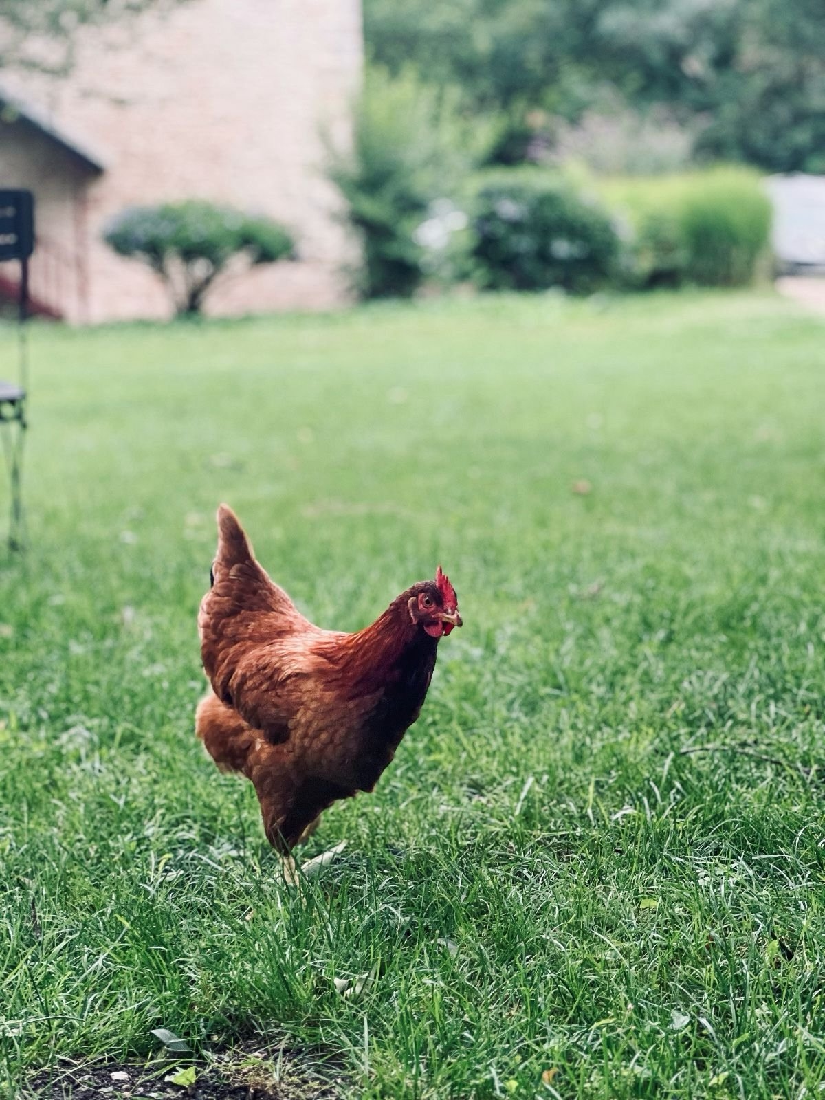 WhatsApp Image 2025-03-19 at 01.30.41 copie.jpeg