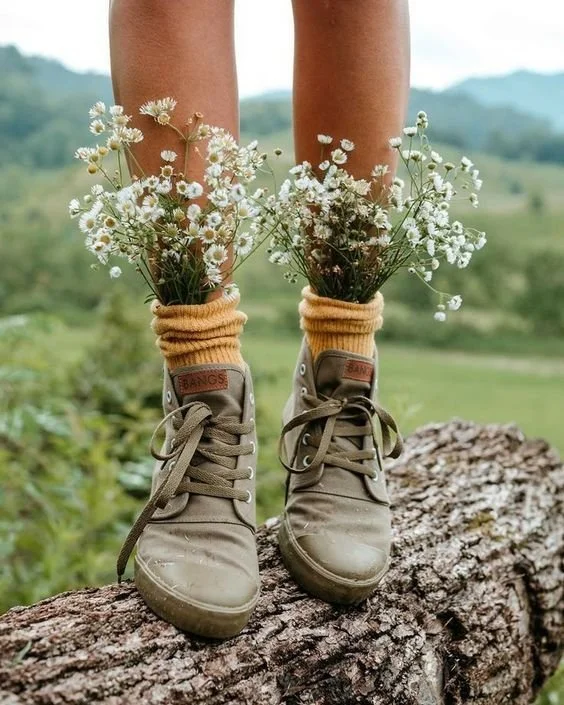 Chaussures de sport beige avec des chaussettes jaunes, remplis de petites fleurs sauvages blanches, posées sur une branche d'arbre avec un paysage de campagne en arrière-plan.