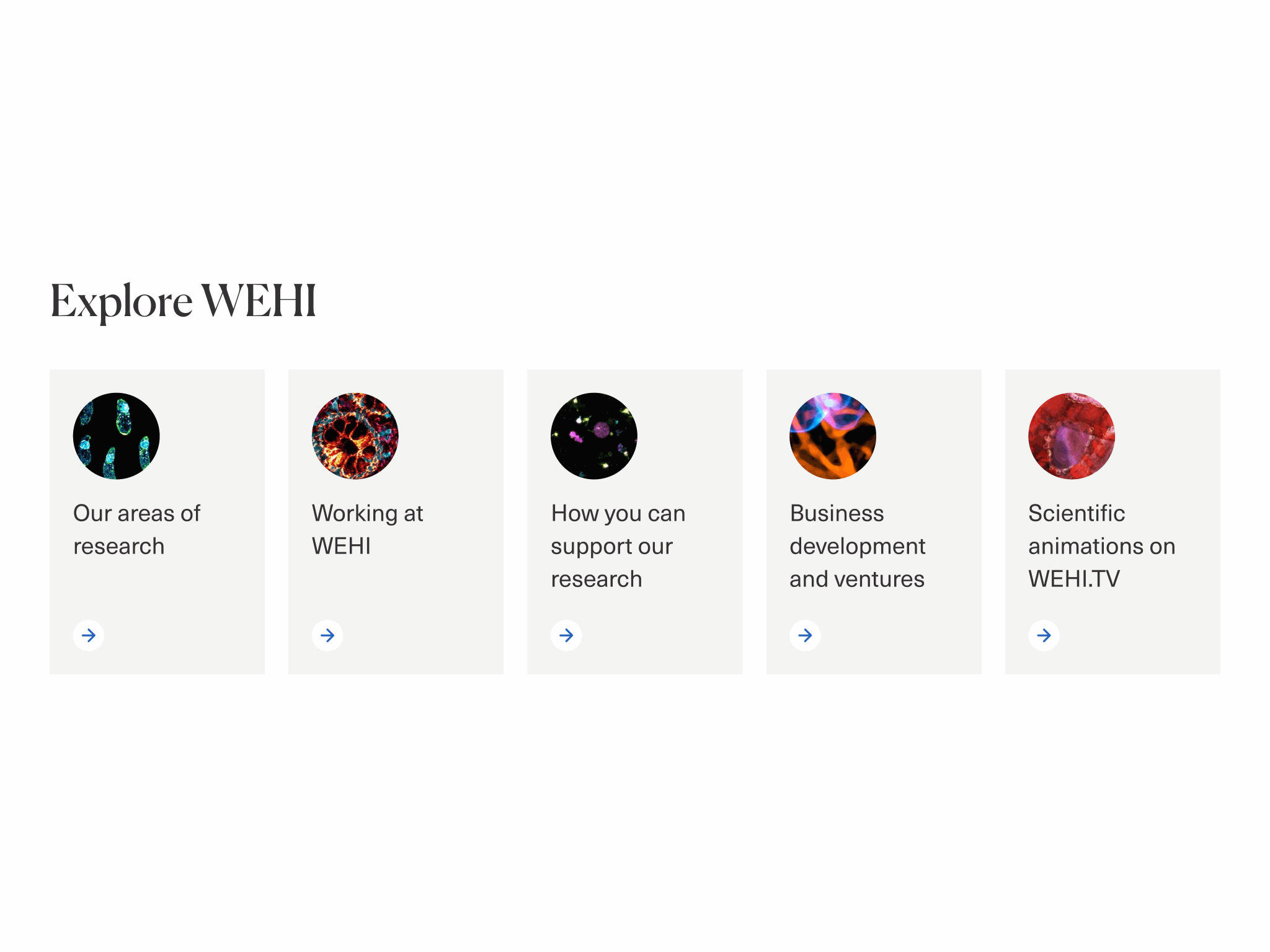 WEHI-Explore.gif