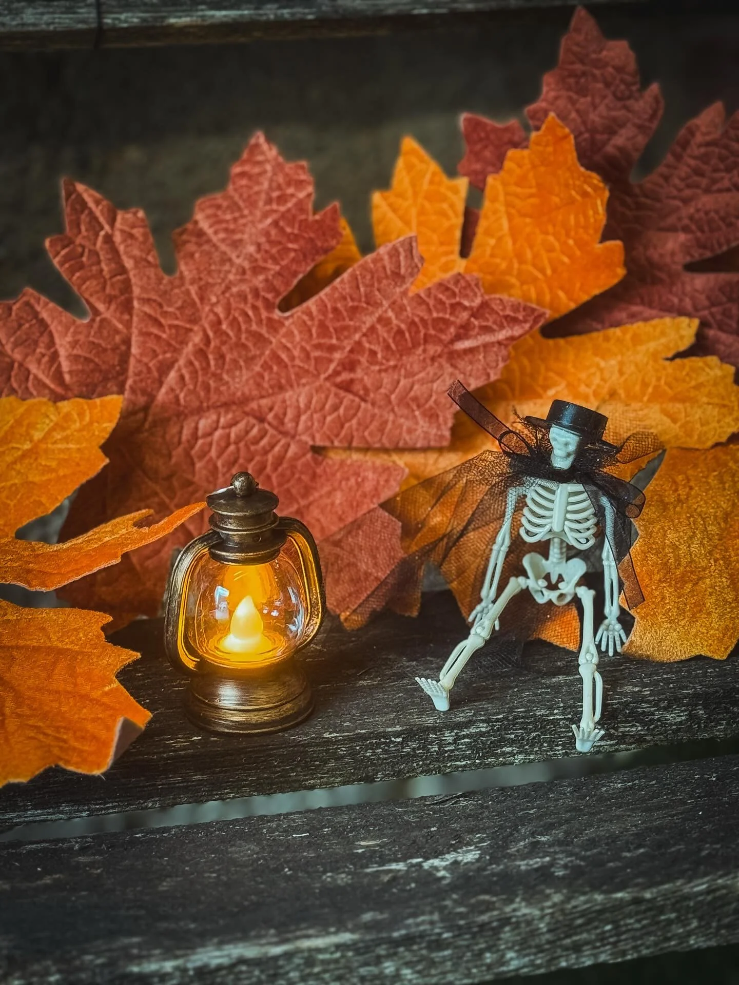 SWIPE TO SEE TRAIL RULES ➡️➡️
The Nightwatchmen have now chosen their hiding places, and await your curiosity tomorrow! Trail begins at 10:30 tomorrow until 4:30, and the same again Saturday 🎃