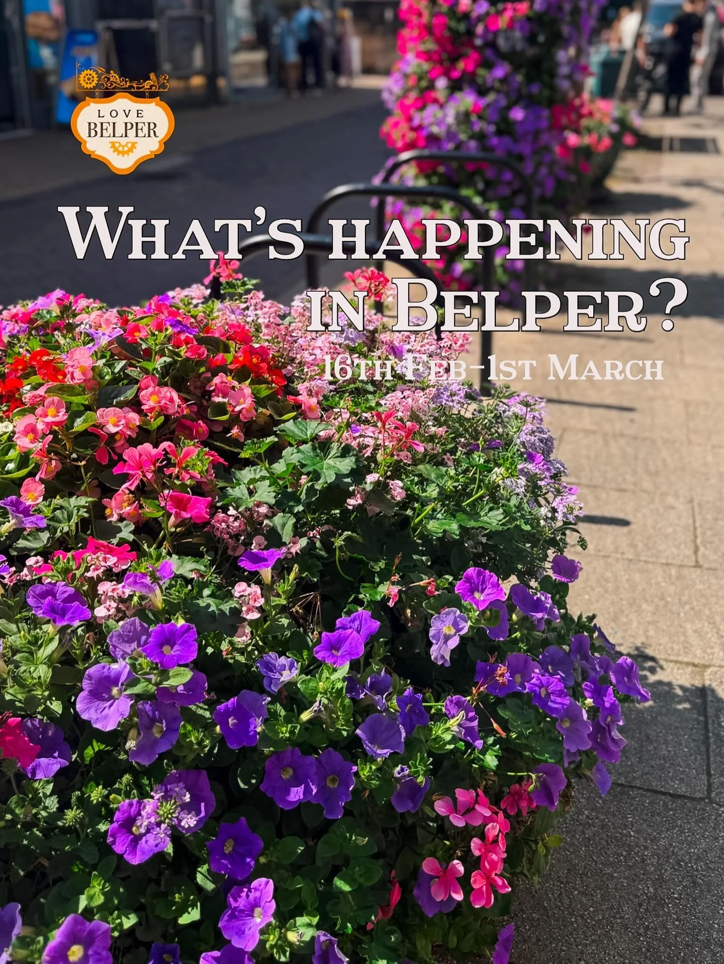 ✨WHATS HAPPENING IN BELPER? ✨
👗&rdquo;A Mowse&rsquo;s Wardrobe&rdquo; @primsisters clothing event begins Friday 👗
📚 @dormousebelper brilliant author event at @weare_reunion 📚
🦆 it&rsquo;s the start of @visitambervalley Aup Me Duck Trail! Grab a 