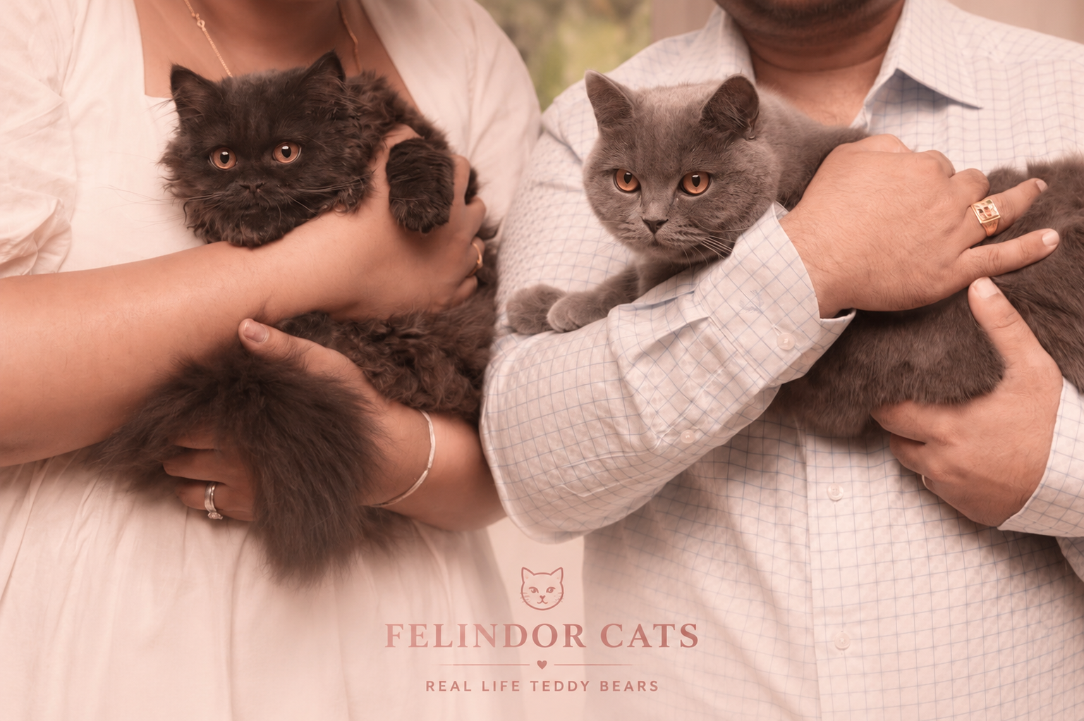 Two people holding plush felindor cats. The cats are soft, fluffy, and have realistic cat features.