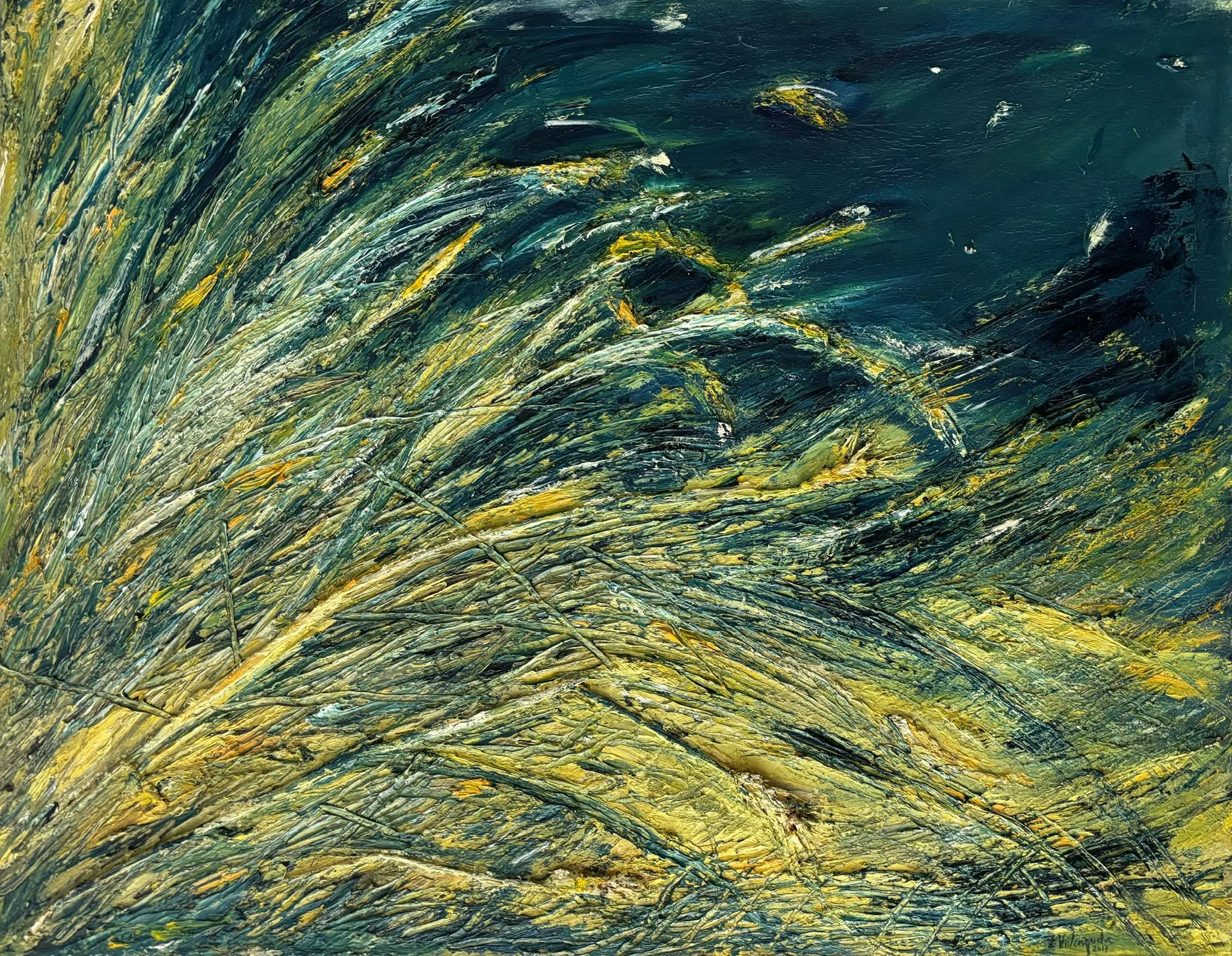 oil on canvas - 70 x 90 cm