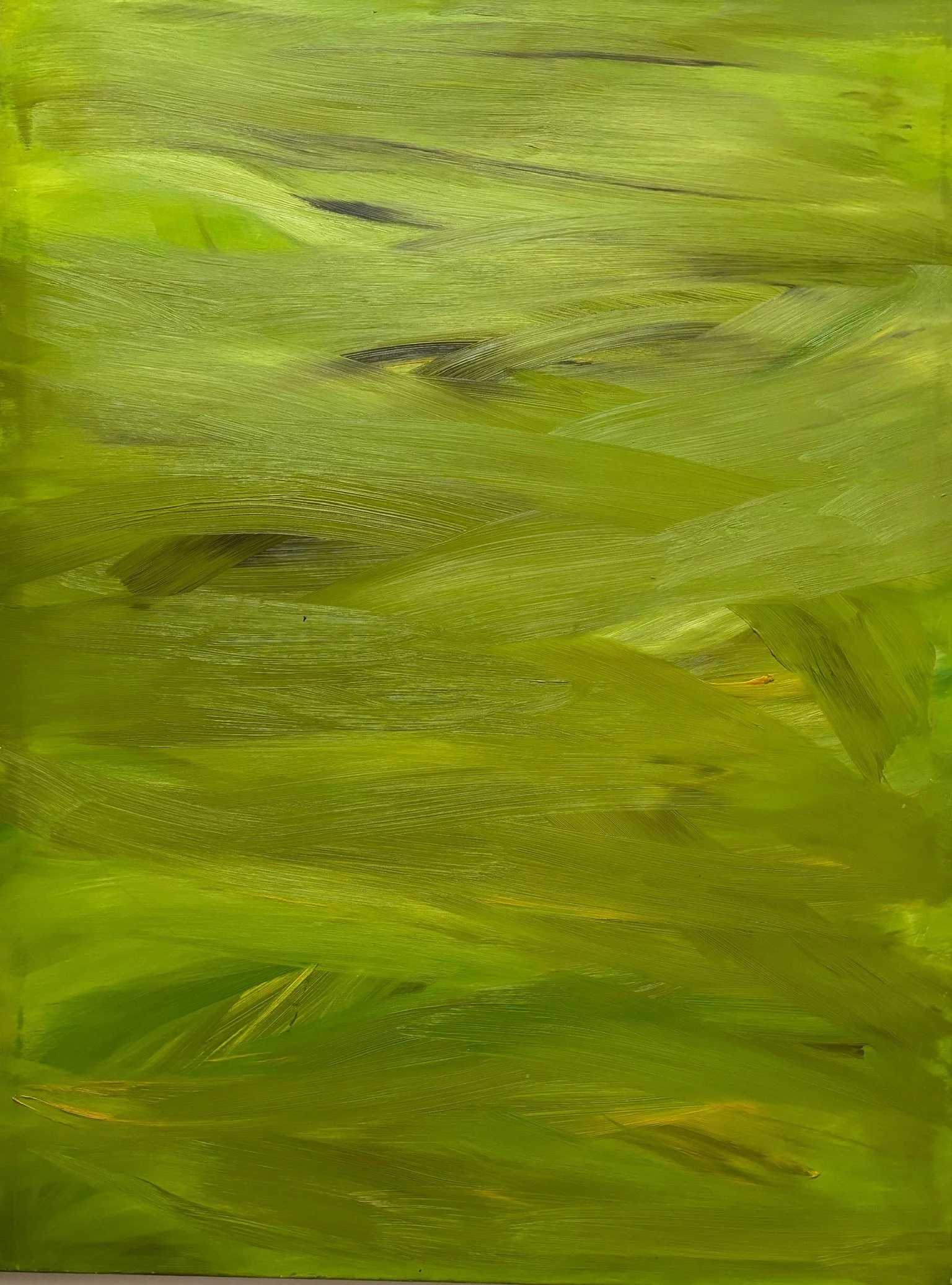 oil on canvas -
90 x 120 cm