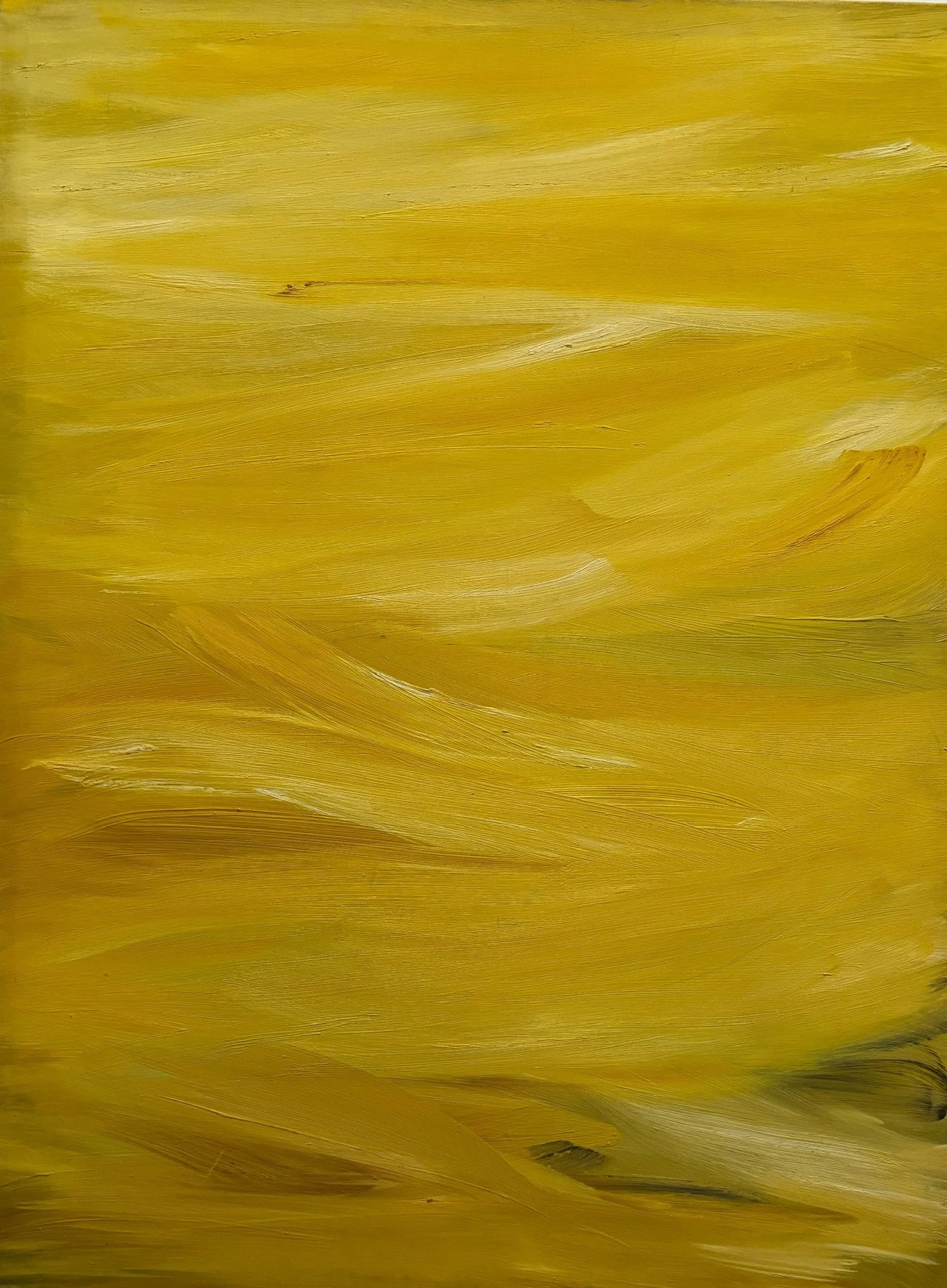 oil on canvas -
90 x 120 cm