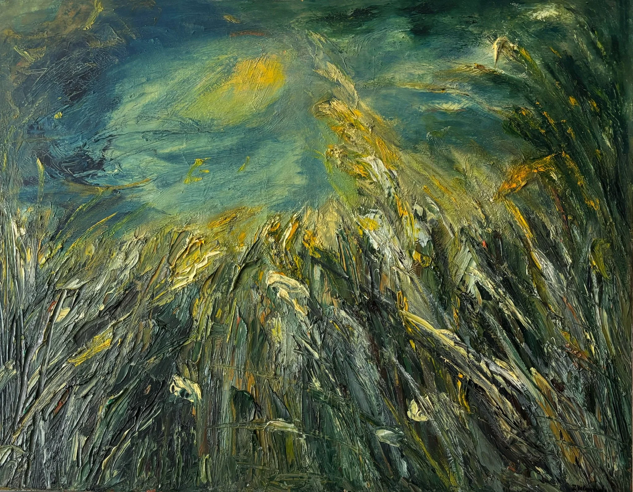 oil on canvas - 70 x 90 cm