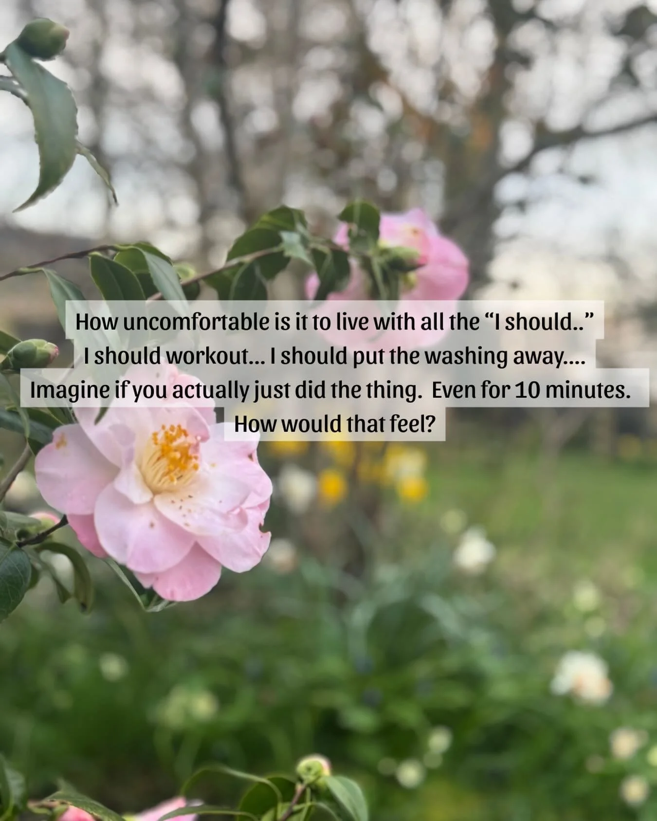 &ldquo;I should&hellip;&rdquo;. 

&ldquo;I should&rdquo; comes with a heavy weight.  It weighs you down, plays on your mind and brings with it an anxiety and guilt if it doesn&rsquo;t get done.  We wake first thing in the morning with a sinking feeli