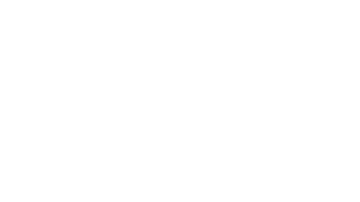 NOIR.
