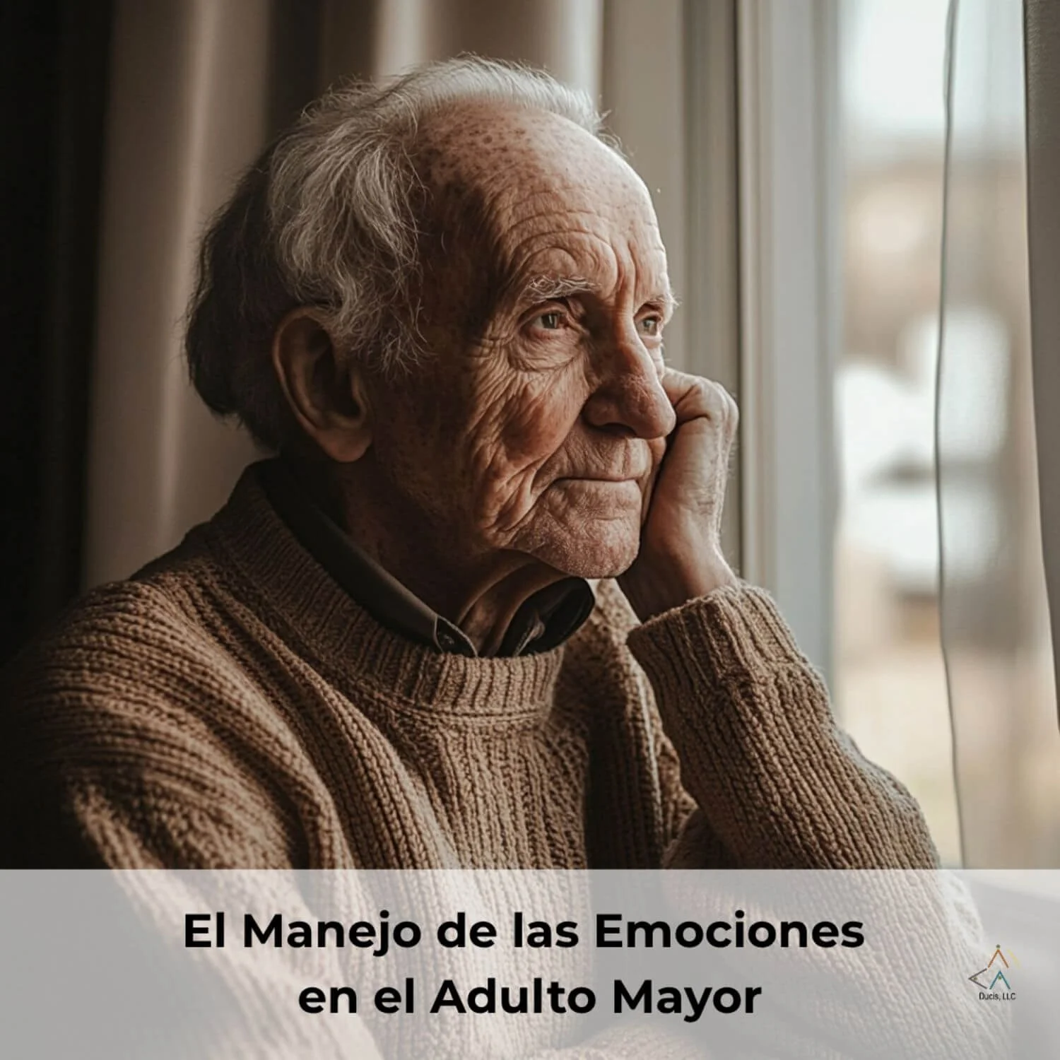 Cómo manejar las emociones en el adulto mayor y su impacto familiar
