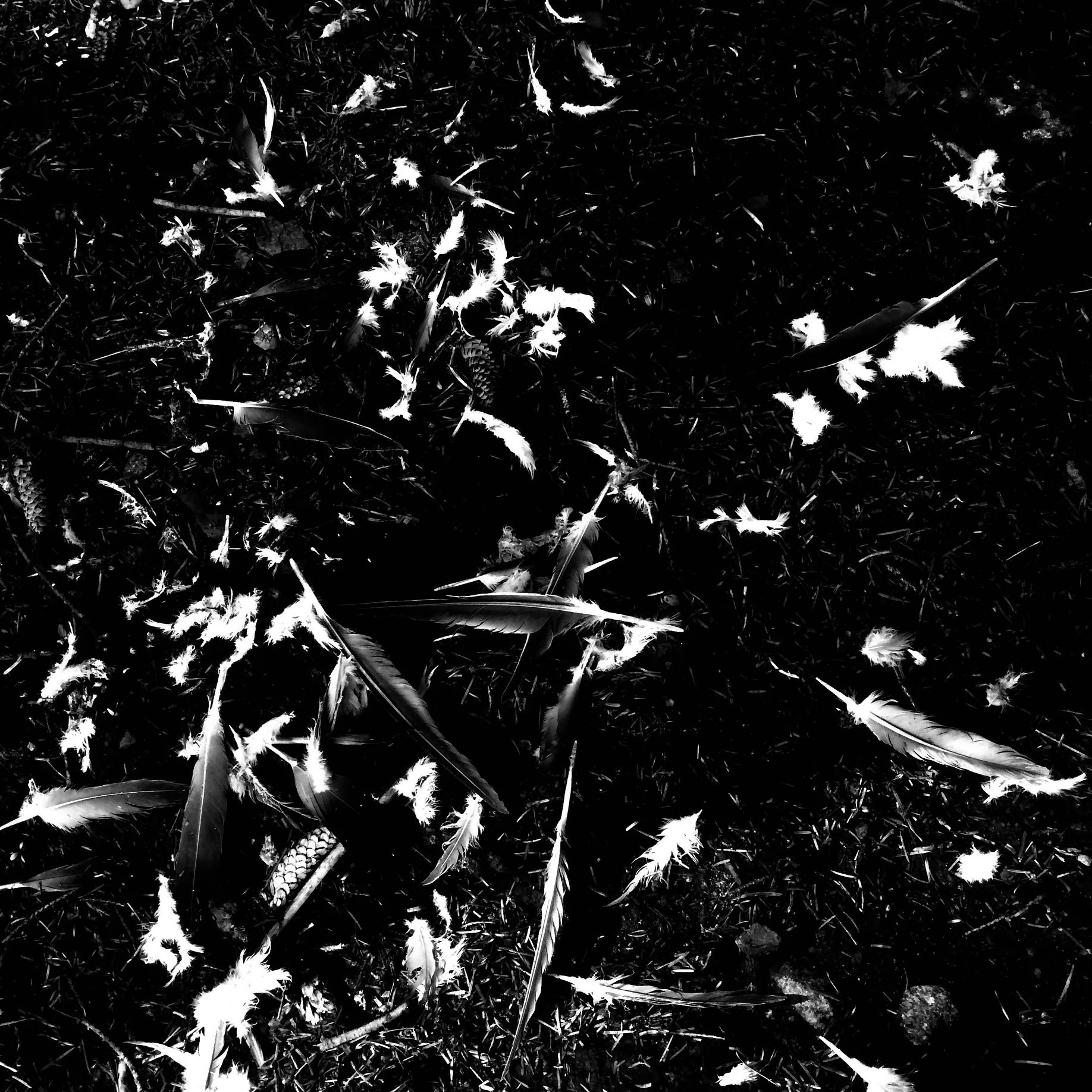 artwork by Sofia Karim dedicated to Saibaba