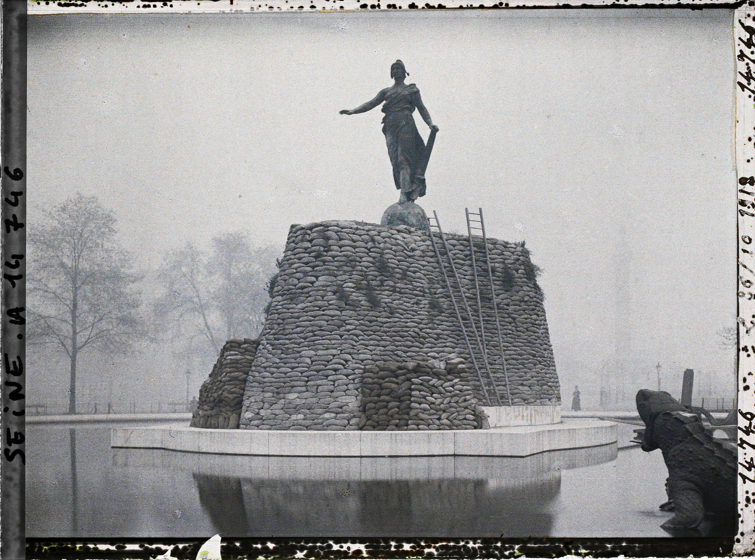 Strong Democracies are a Necessity for Crisis Management