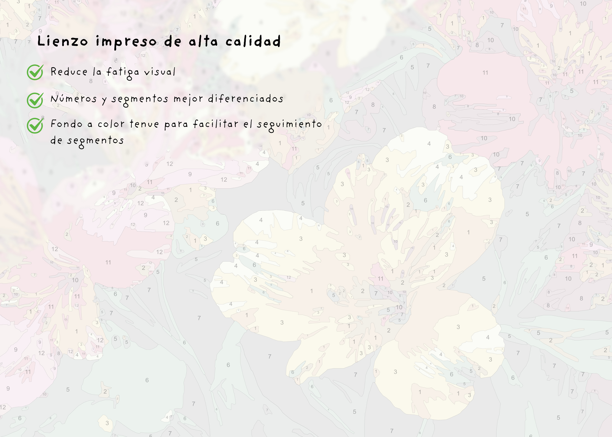 8.png (copia) (copia) (copia)