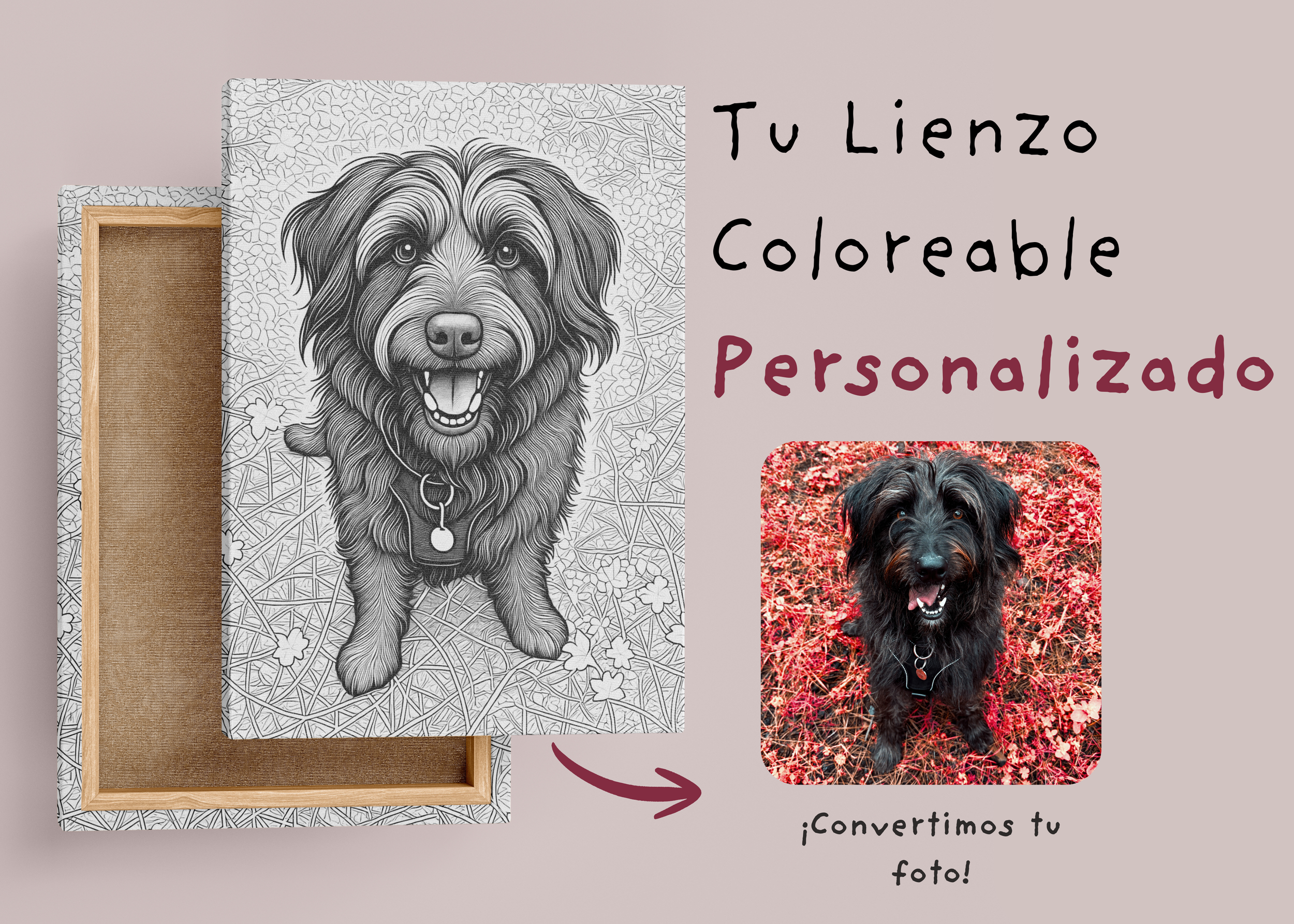 Tu Lienzo Coloreable Personalizado - Sketch