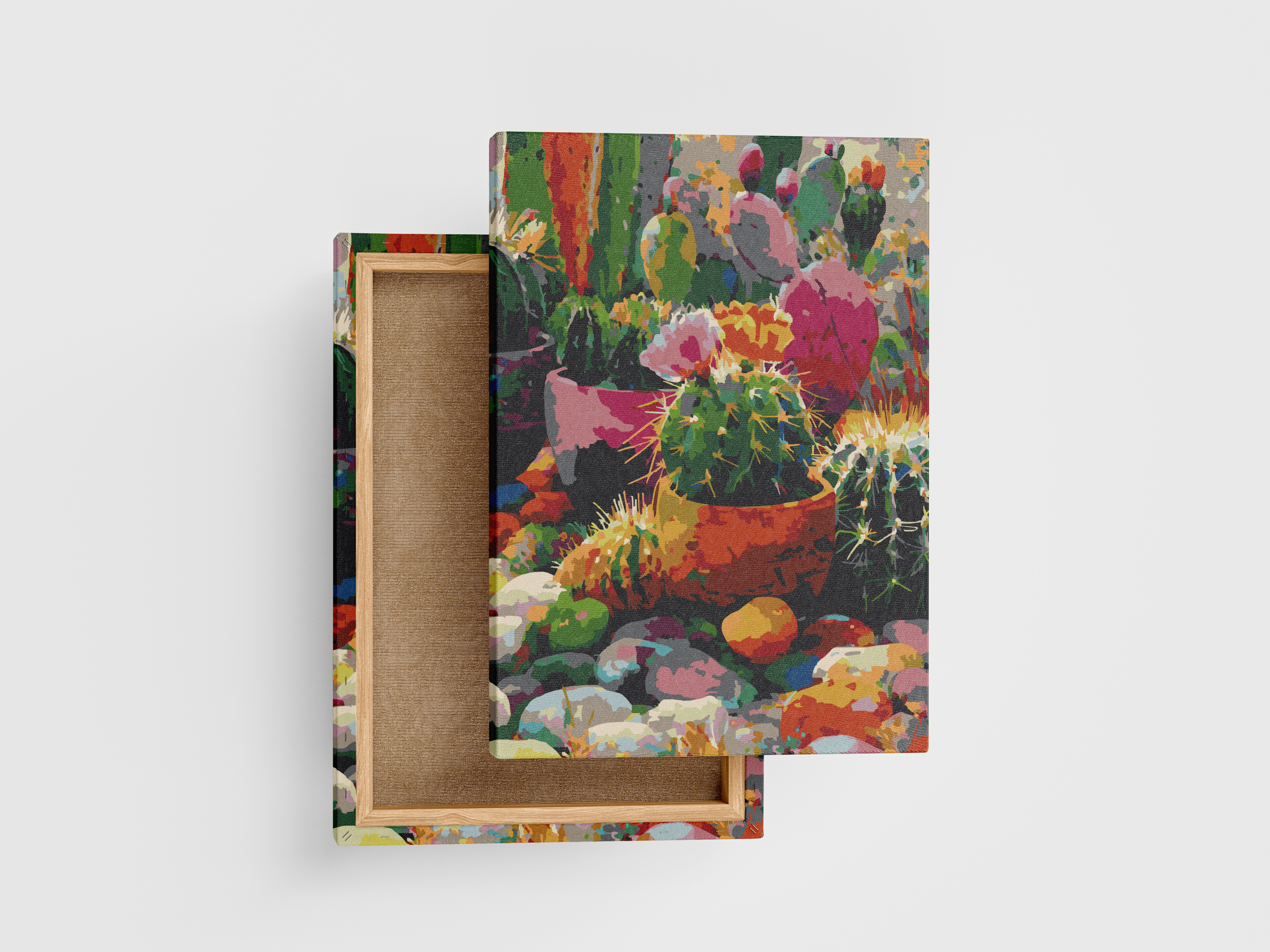 PNP 81: Macetas y Cactus