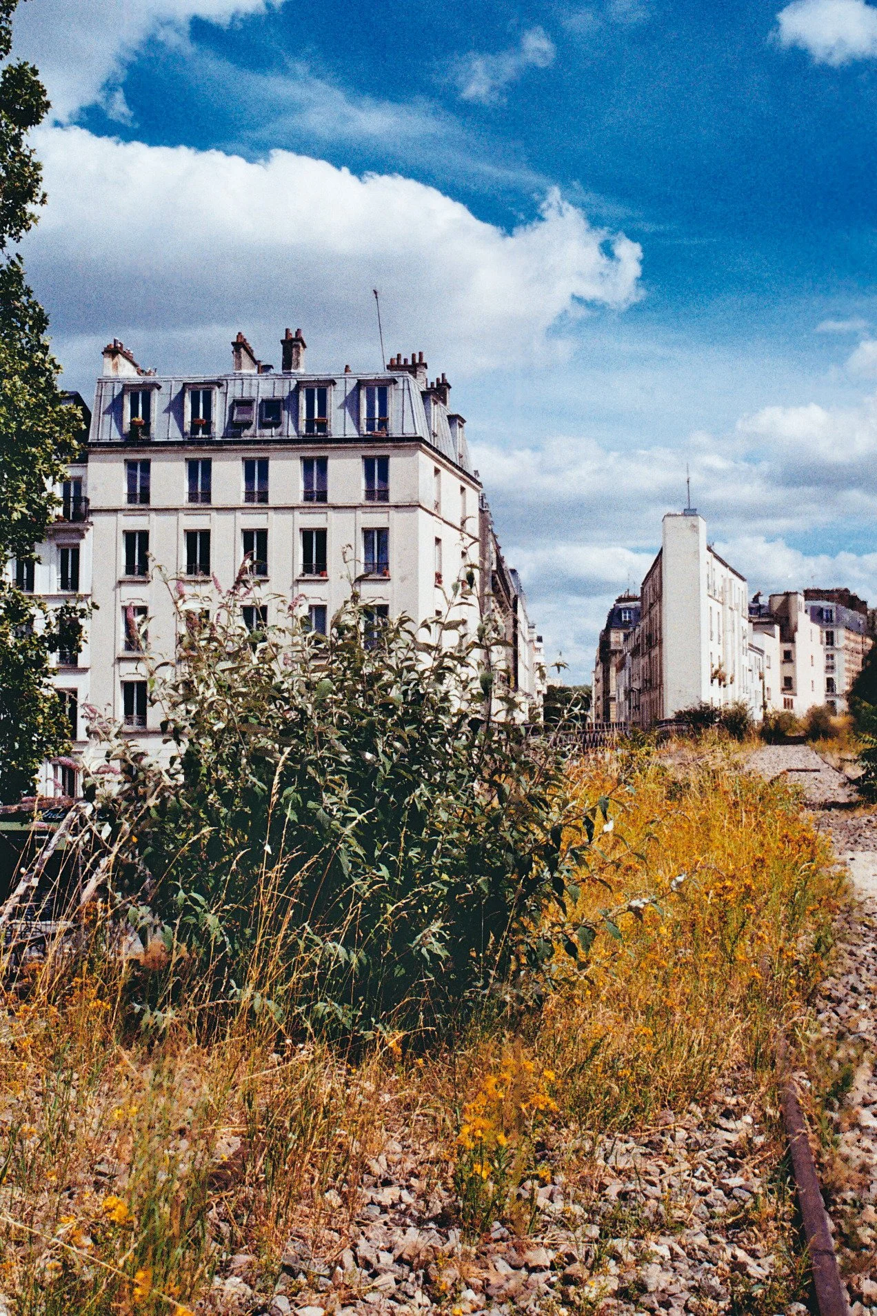 La petite ceinture, Paris 19ème, 6 juillet 2024