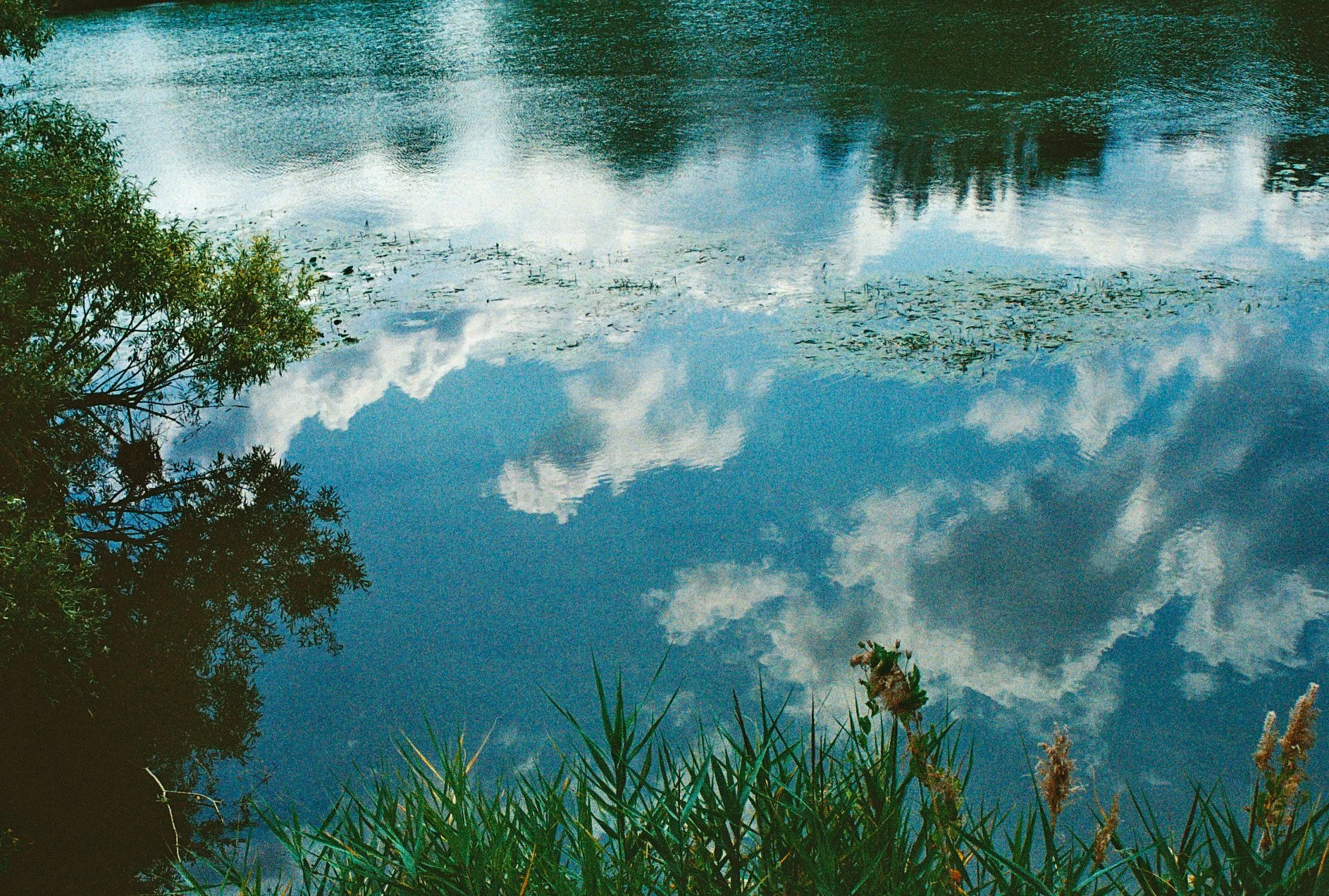 La Marne, Bry-sur-Marne, 21 juillet 2023