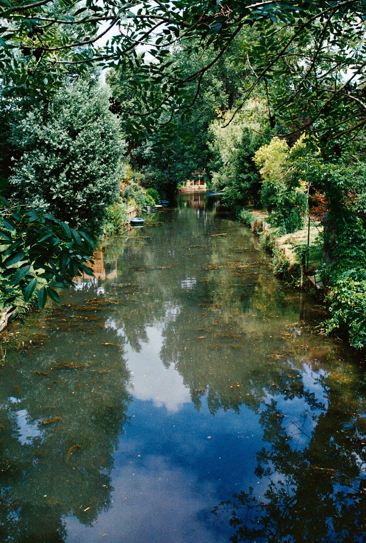 Ancienne rivière de Polangis, Joinville-le-Pont, 5 juillet 2023