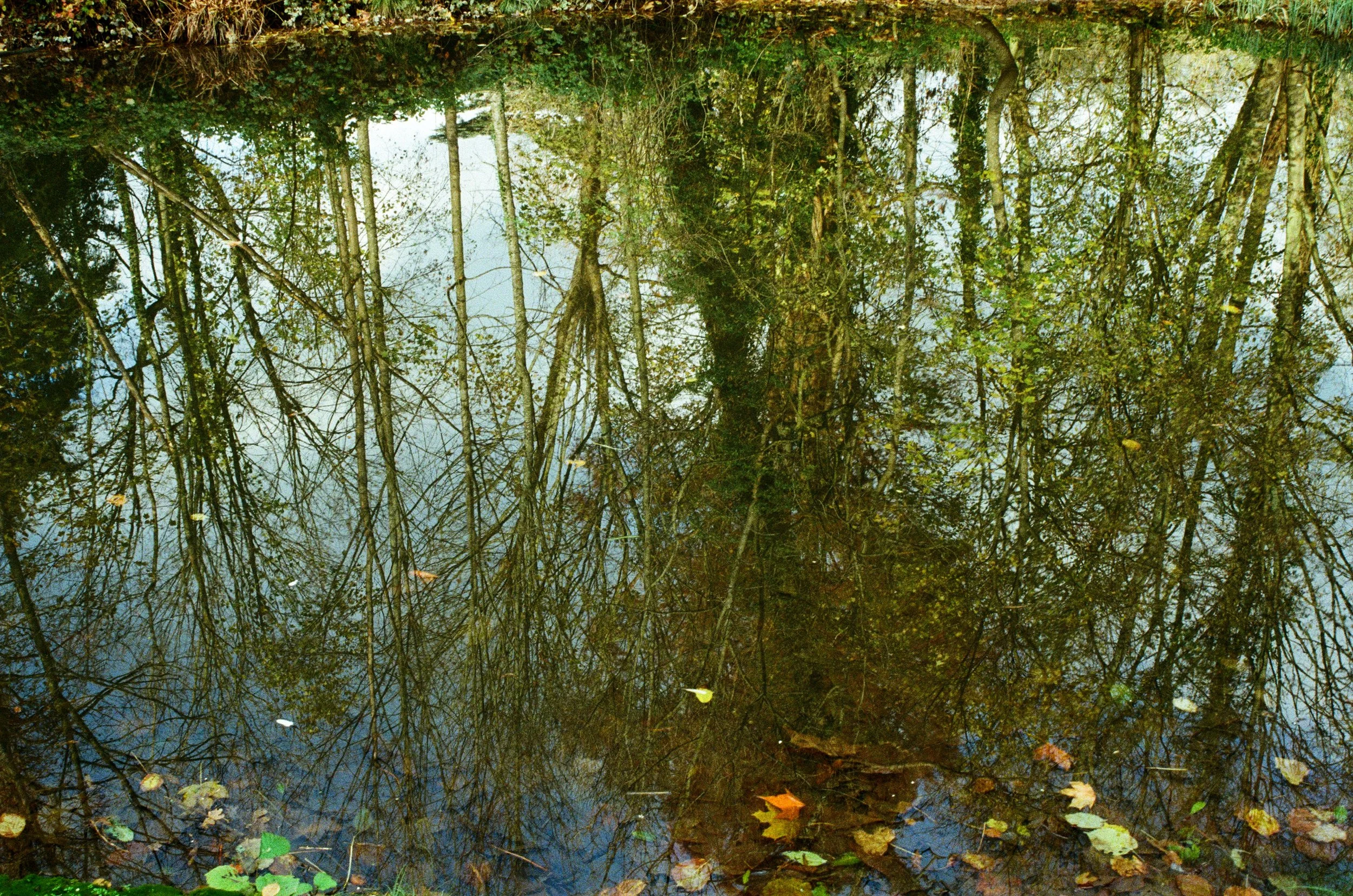 Ozoir-la-Ferrière, 2023