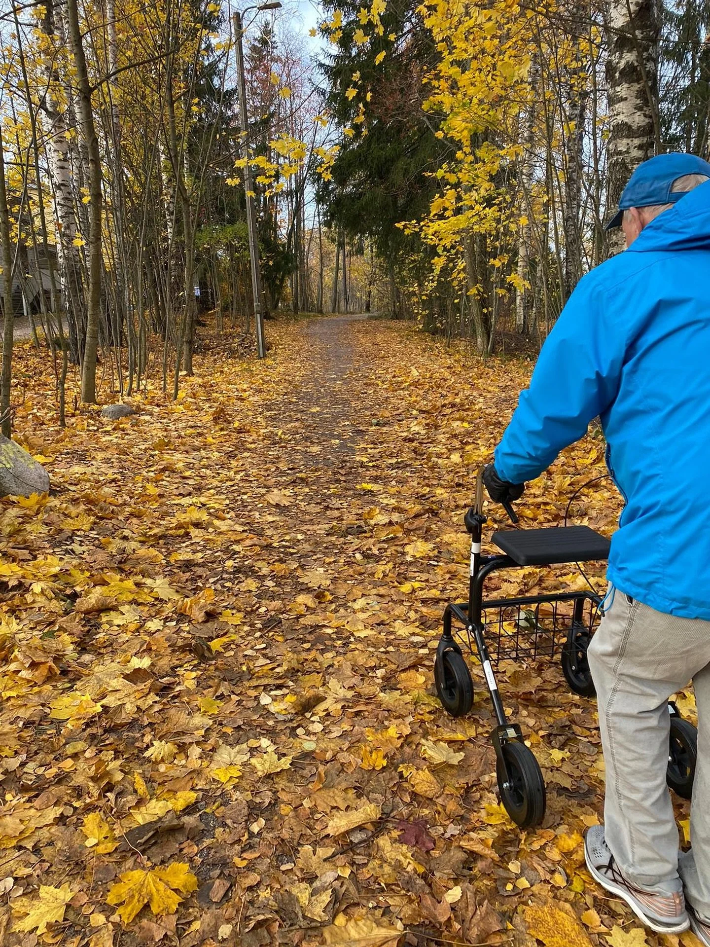 Voi vitsit mit&auml; upeaa keltaista ruska-aikaa ollaan saatu el&auml;&auml; viimeviikot! 🍁🍃🍂

Me ollaan ainakin nautittu t&auml;ysin rinnoin ruskak&auml;velyist&auml;, ja ollaan p&auml;&auml;sty nauttimaan niist&auml; my&ouml;s asiakkaiden kanssa