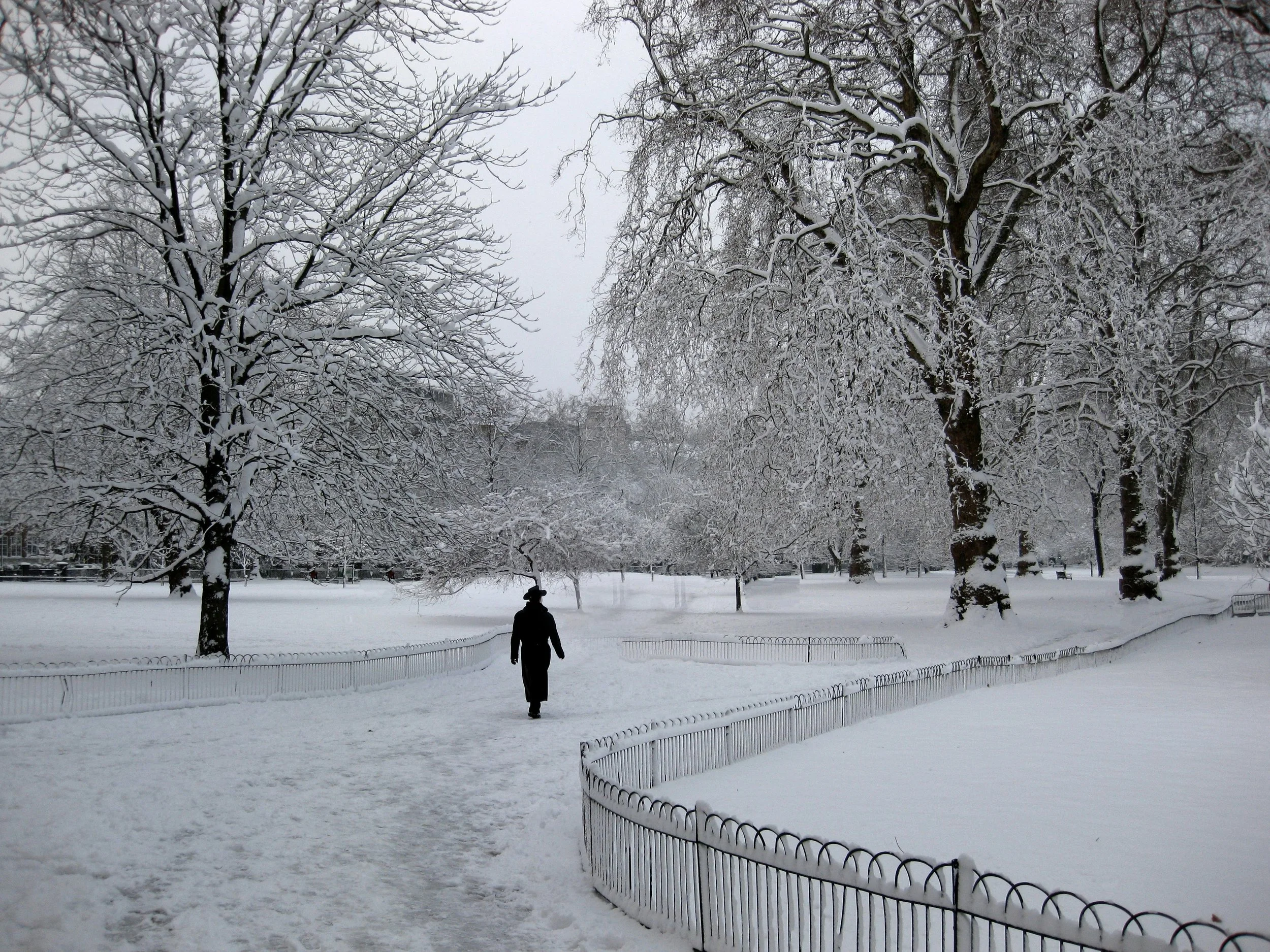 A person walking alone on a snowy path, symbolising Valentine’s Day loneliness without social comparison