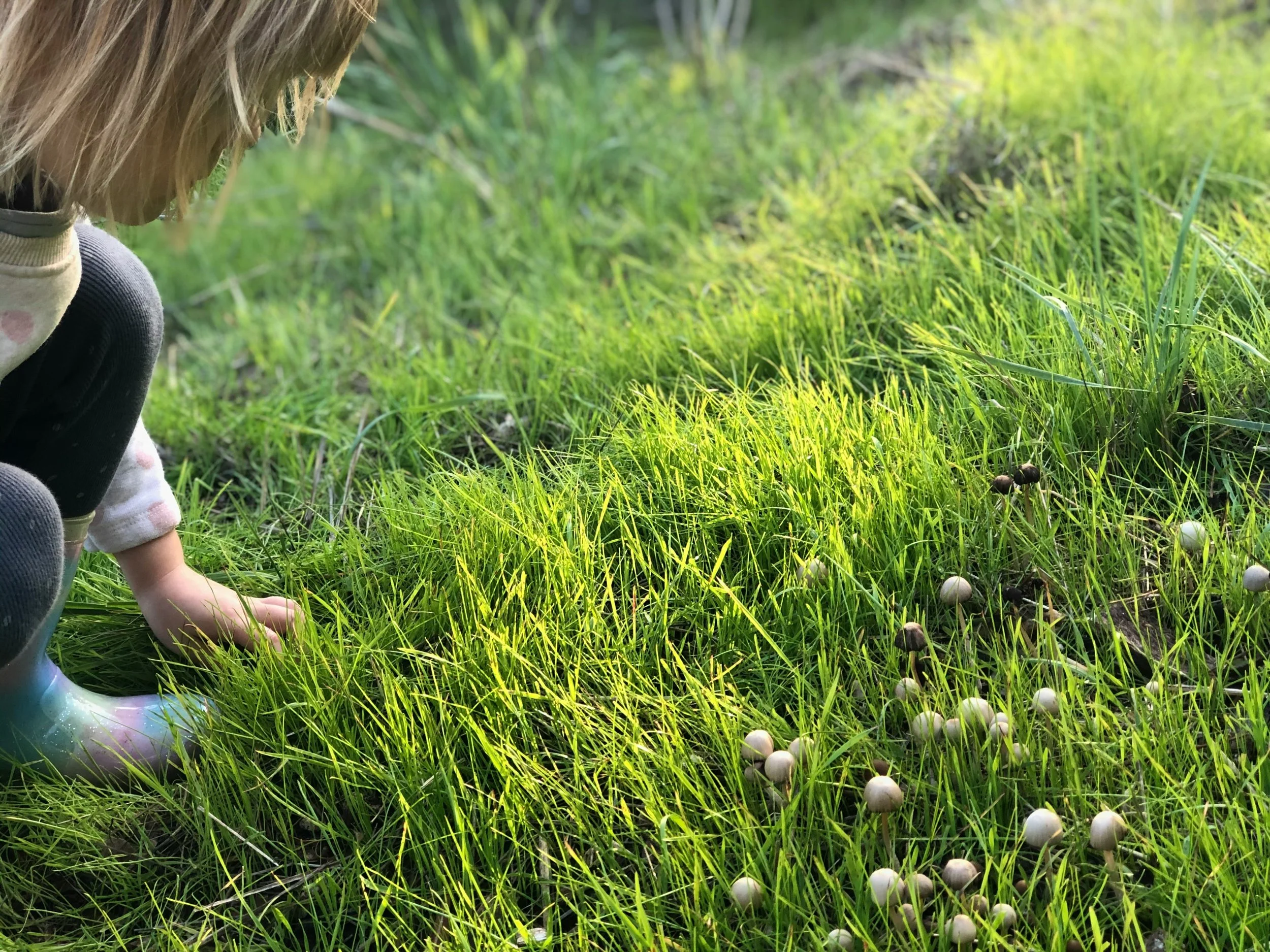 Woman walking alone in a green field, representing openness and beginner’s mind in Japanese life philosophy