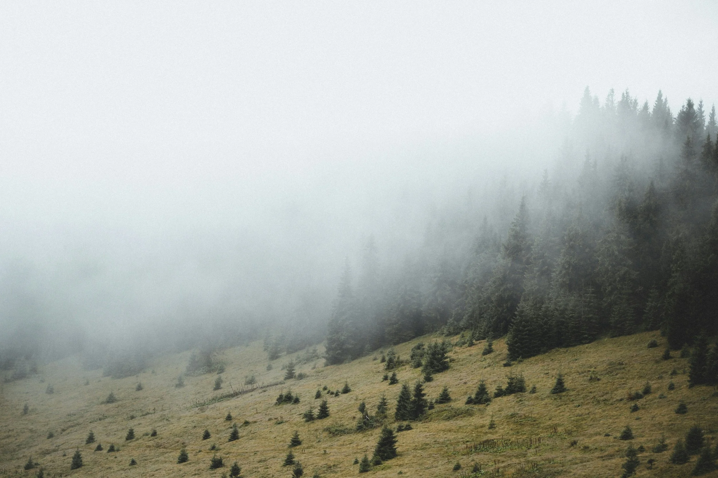 Foggy mountain landscape symbolising uncertainty and emotional ambiguity in ghosting psychology.
