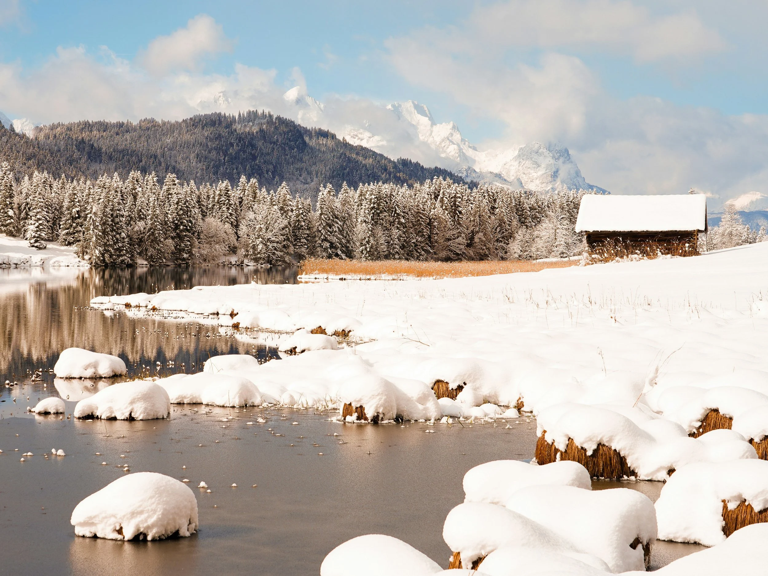 A couple walking under autumn trees, highlighting when cuffing season begins in the UK and how colder weather influences dating trends.