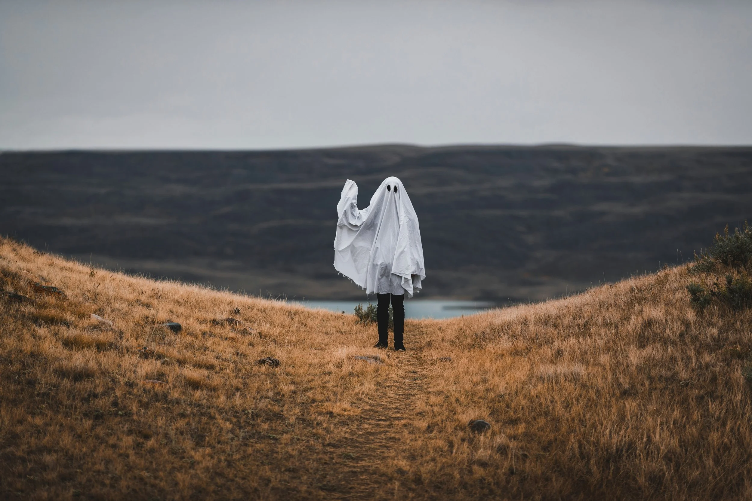 Person standing in an open field symbolising emotional clarity and empowerment gained from understanding ghosting psychology.