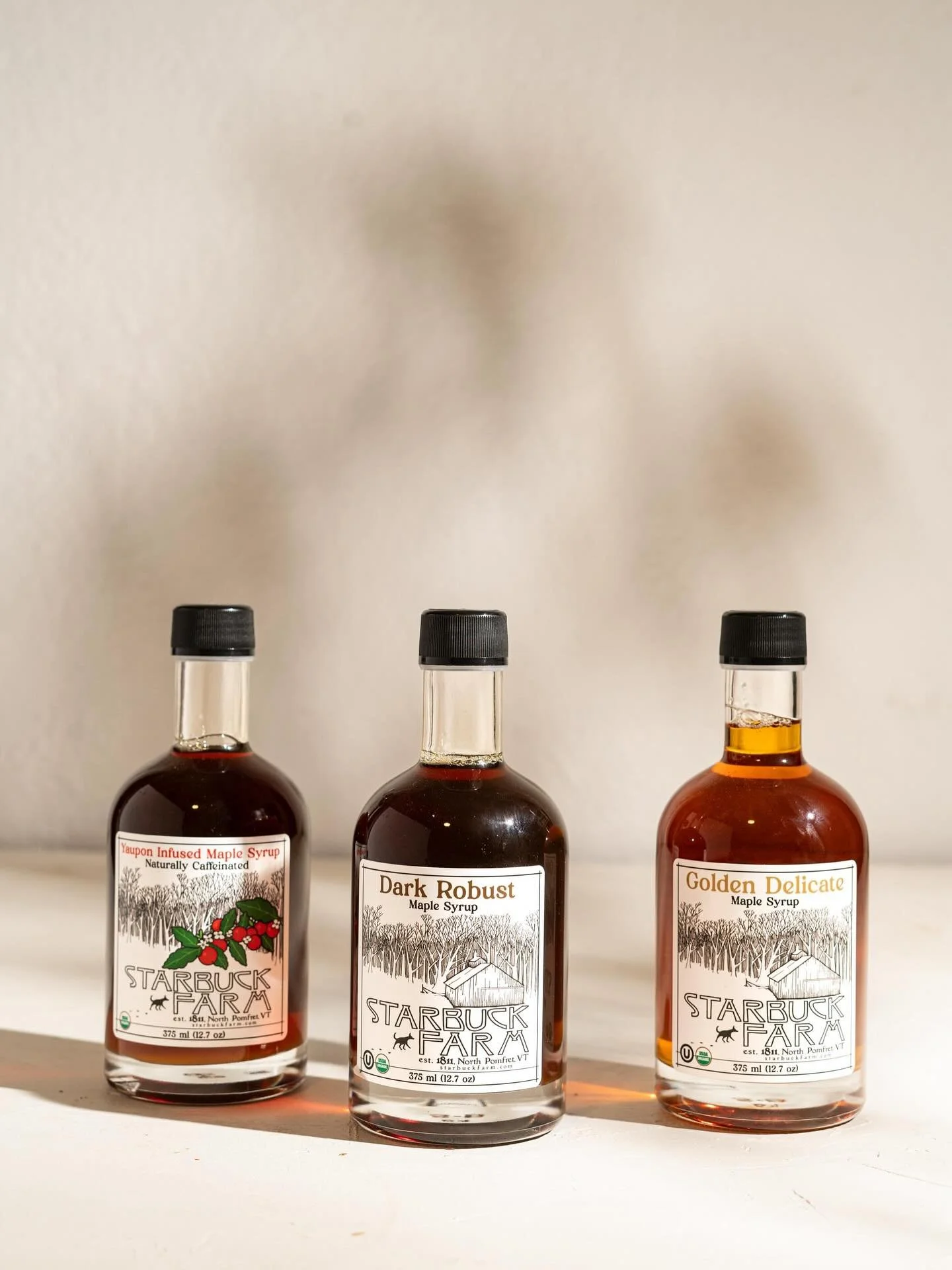 holidays are sweeter at Ollie&rsquo;s Market ✨
We&rsquo;re bringing fresh, local, gift-ready options like these beautiful maple syrups from @starbuckfarm1811 &mdash; plus our new house-made drink flavors: Miso Caramel and Ginger Snap. Come taste what