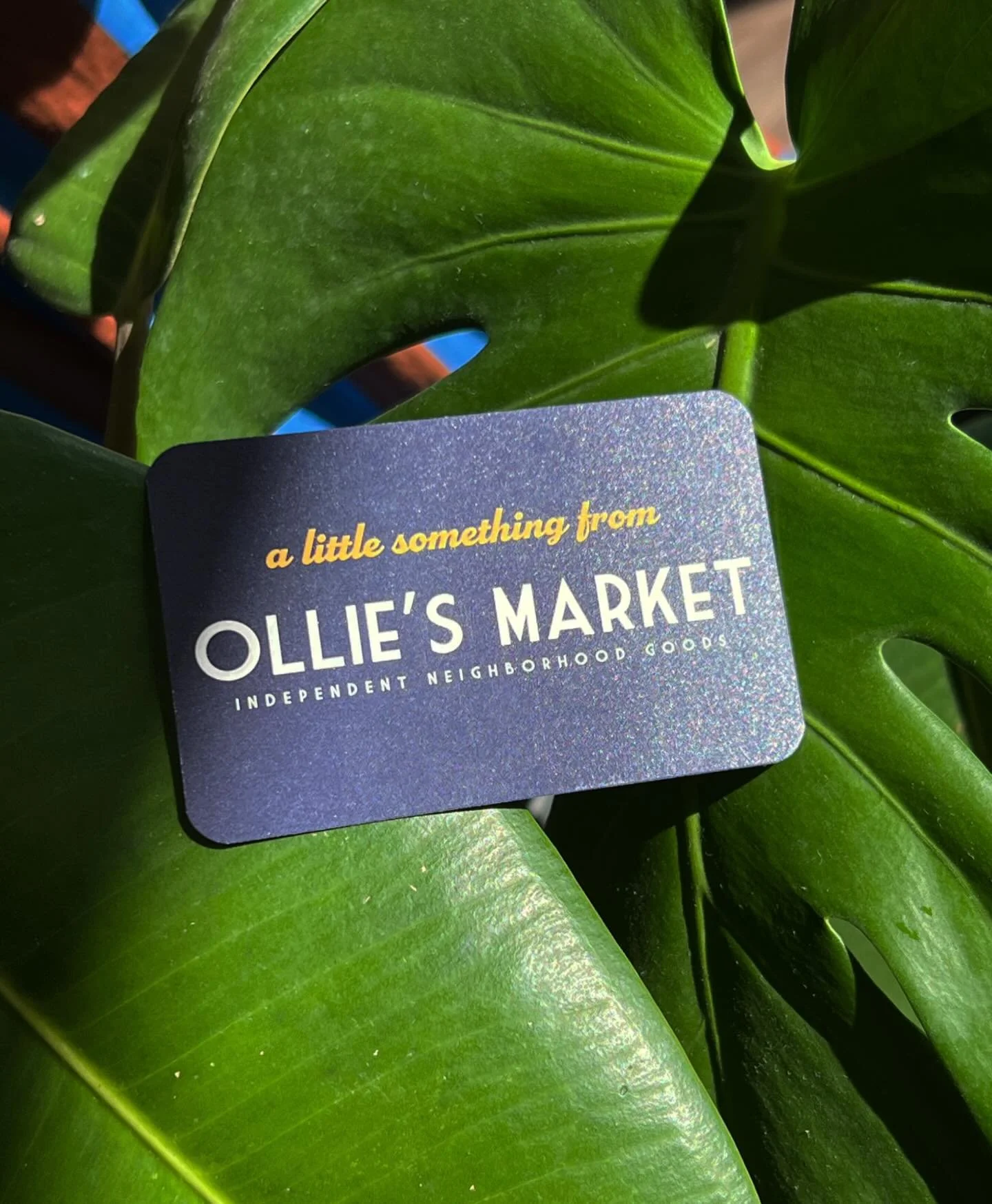 just in time to stuff the stockings &mdash; Ollie&rsquo;s Market gift cards now available 💌
