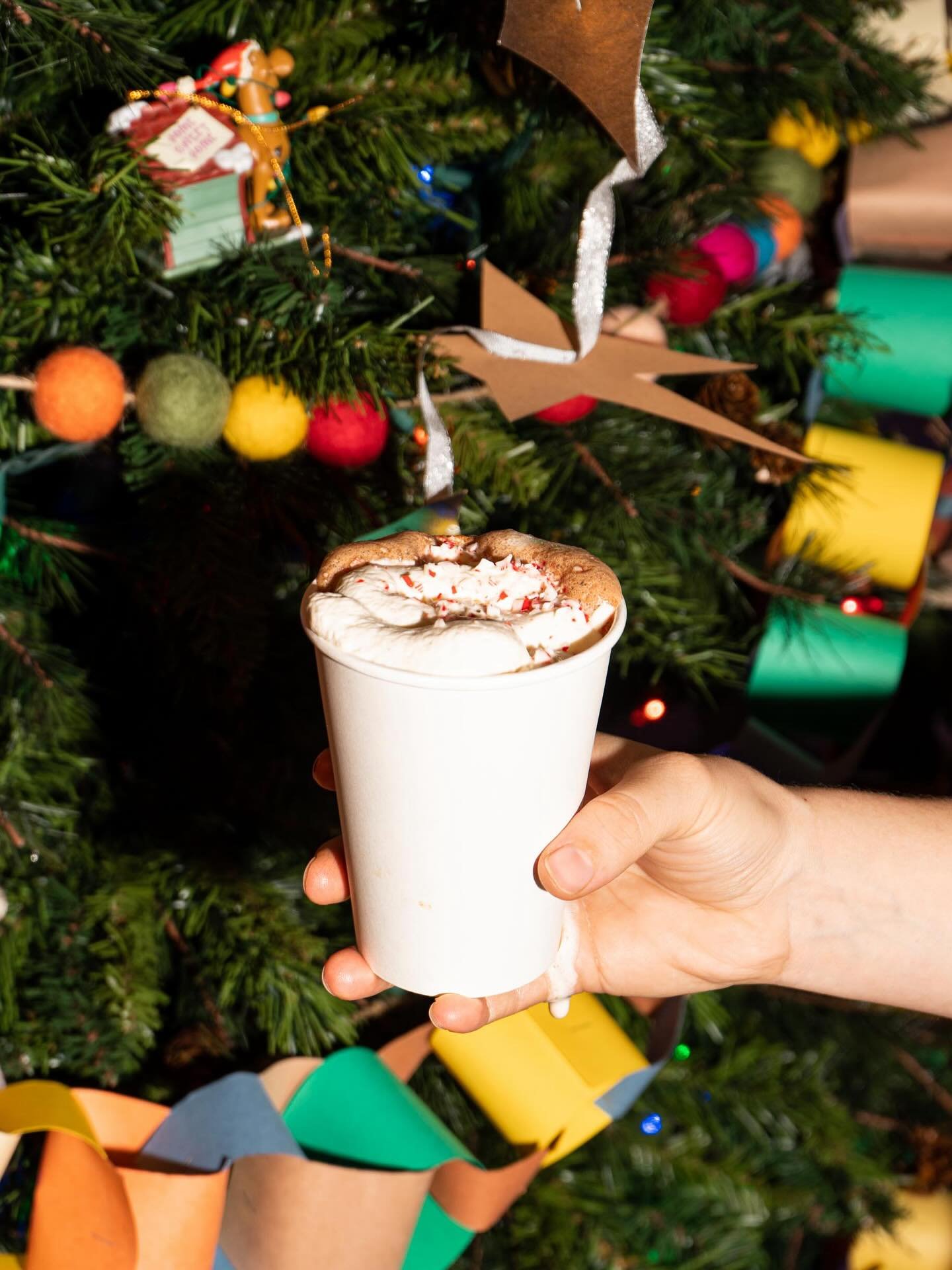 organic hot chocolate, sweetened with maple, topped with whipped cream + peppermint crunch 🎄

non-dairy option made with OM milk ❤️ 

today only &mdash; come grab one before close for a family holiday road trip 🚐