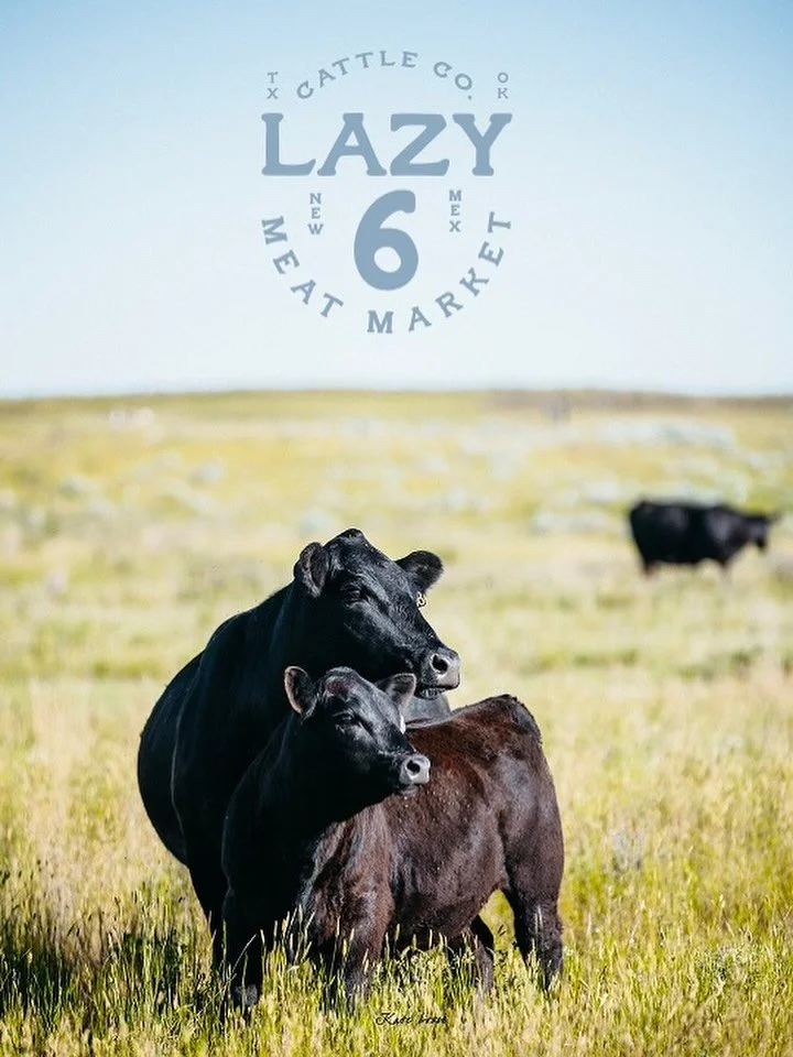 pssst! Lazy 6 all natural ground beef is back in San Marcos 🐄 available at @olliesgoods &amp; @ilovecornucopia