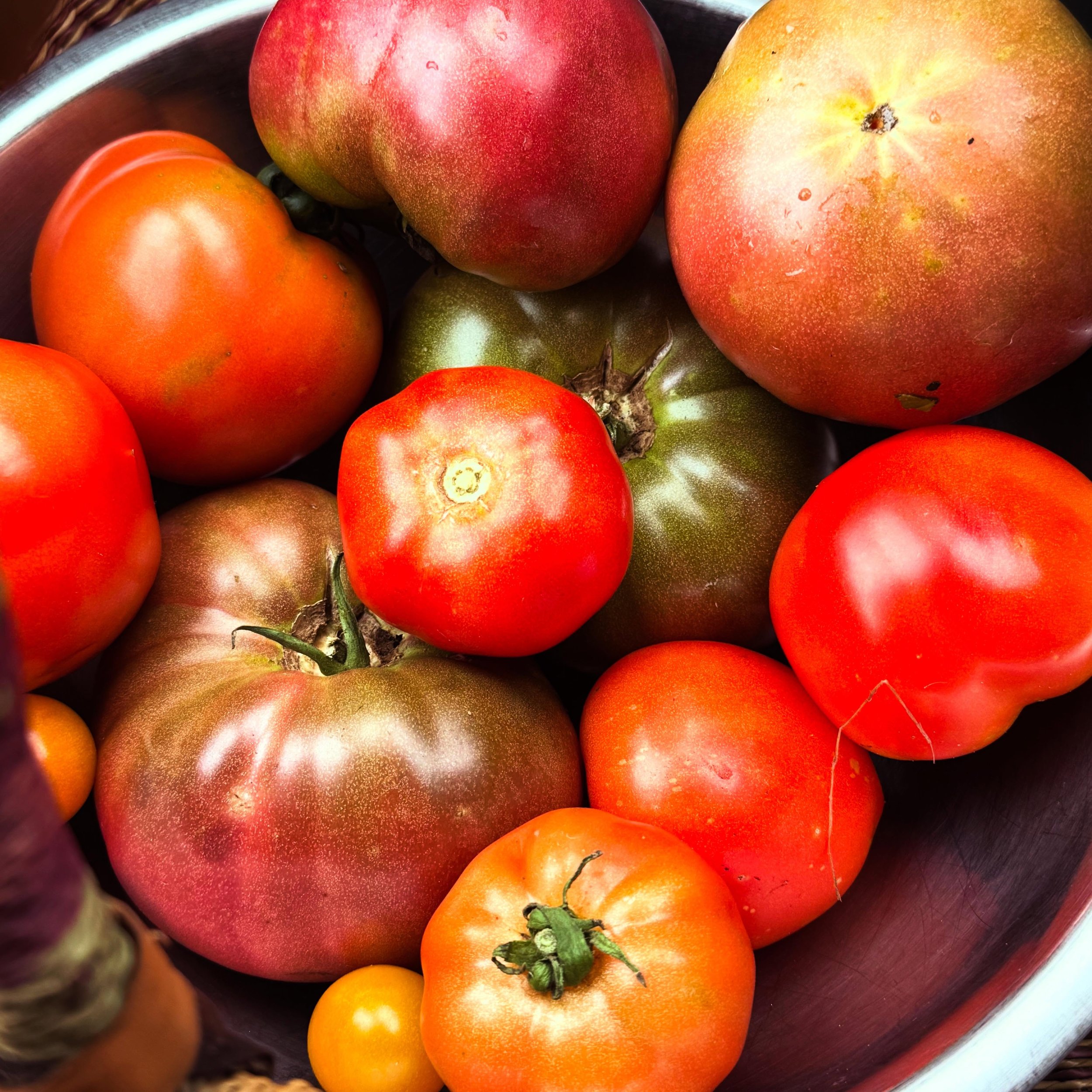 produce straight from our neighborhood gardens 🍅🏊&zwj;♀️
squash, basil, tomatos, peppers, melons, figs, much more on the way!