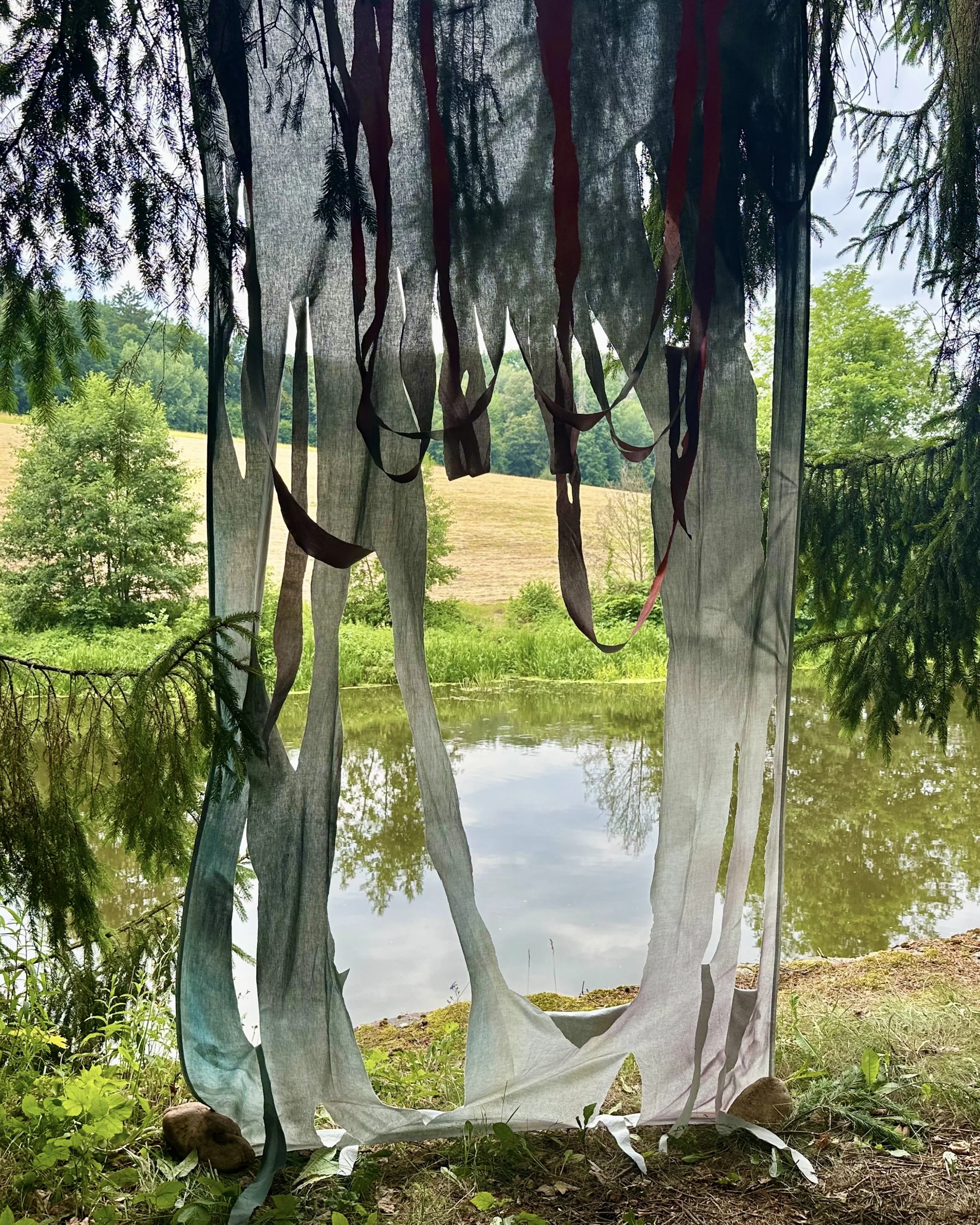 A blank, semi-transparent fabric hanging from trees near a pond, with greenery and trees in the background.