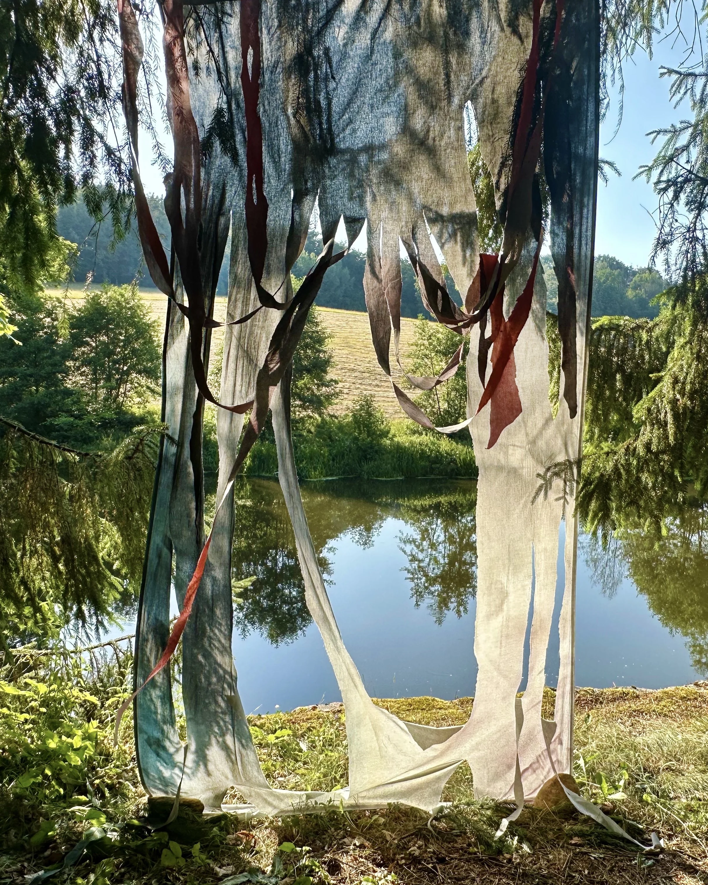 A large tarp hanging between trees over a grassy area near a body of water in a forested landscape.