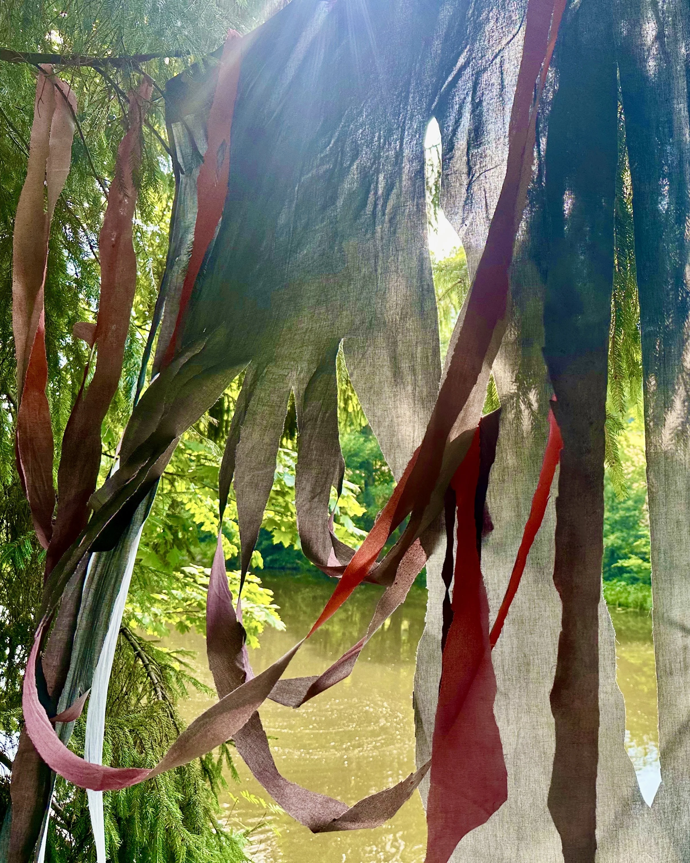 Close-up of colorful fabric strips hanging from a tree branch, with green foliage and a body of water in the background.