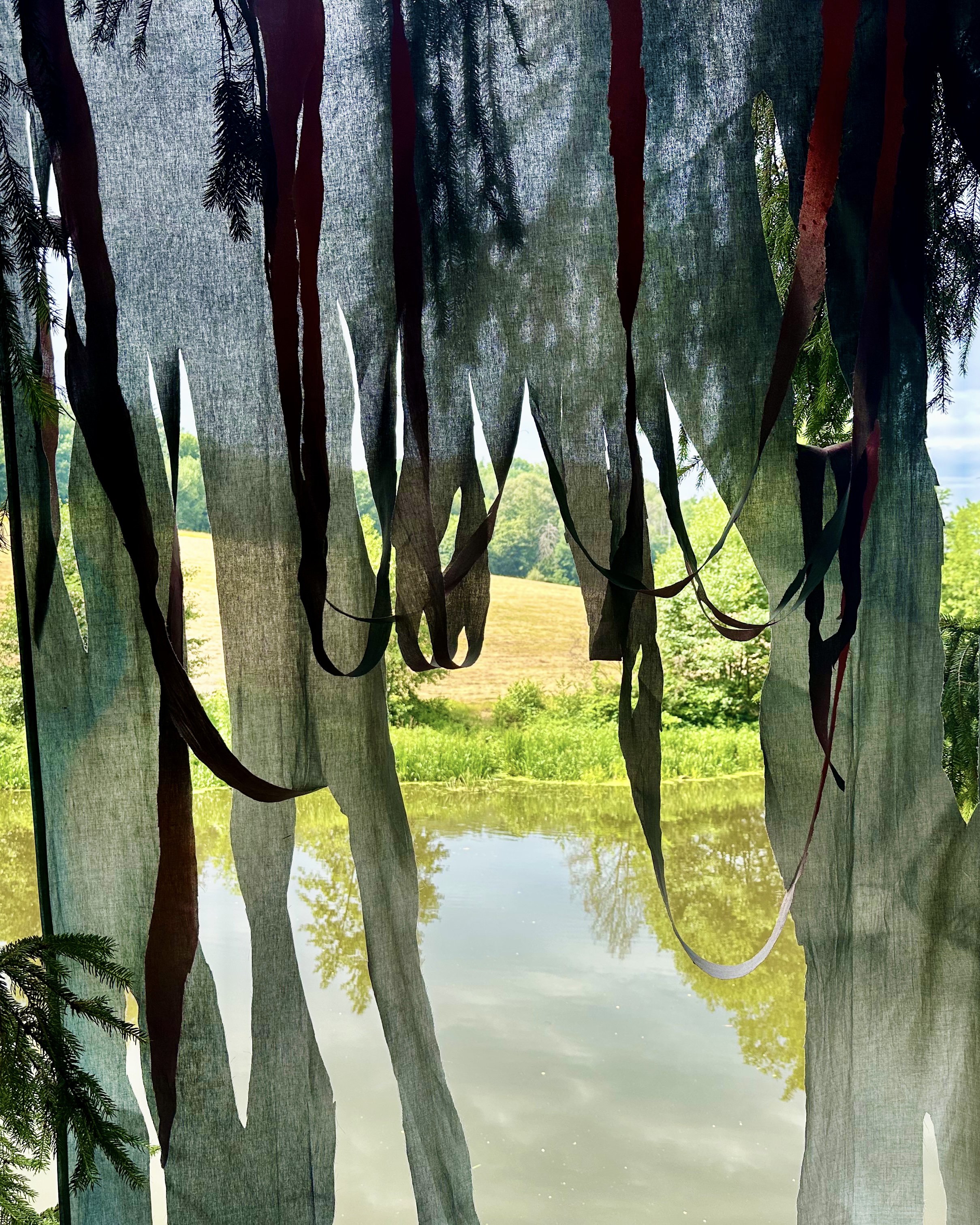 View of a lake with trees and grass in the background, seen through tattered green window fabric curtains.