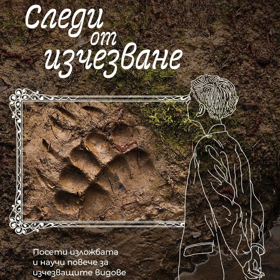 Velingrad - Tracks of Extinction