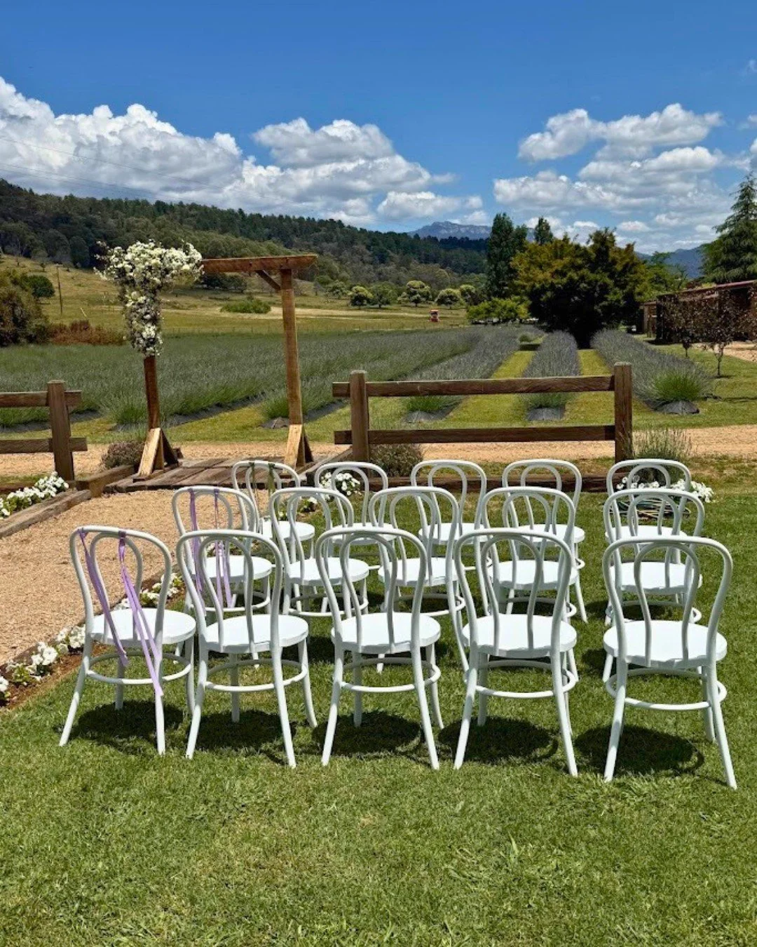 That backdrop though. Rows of lavender with Mt Buffalo peeking through. 

Our white bentwood seating for Ash &amp; Georgie&rsquo;s private property ceremony.

Planner: @ccsweddingandeventplanning 
Floral: @hanpickedflowersbright 

#ceremonyseating #w