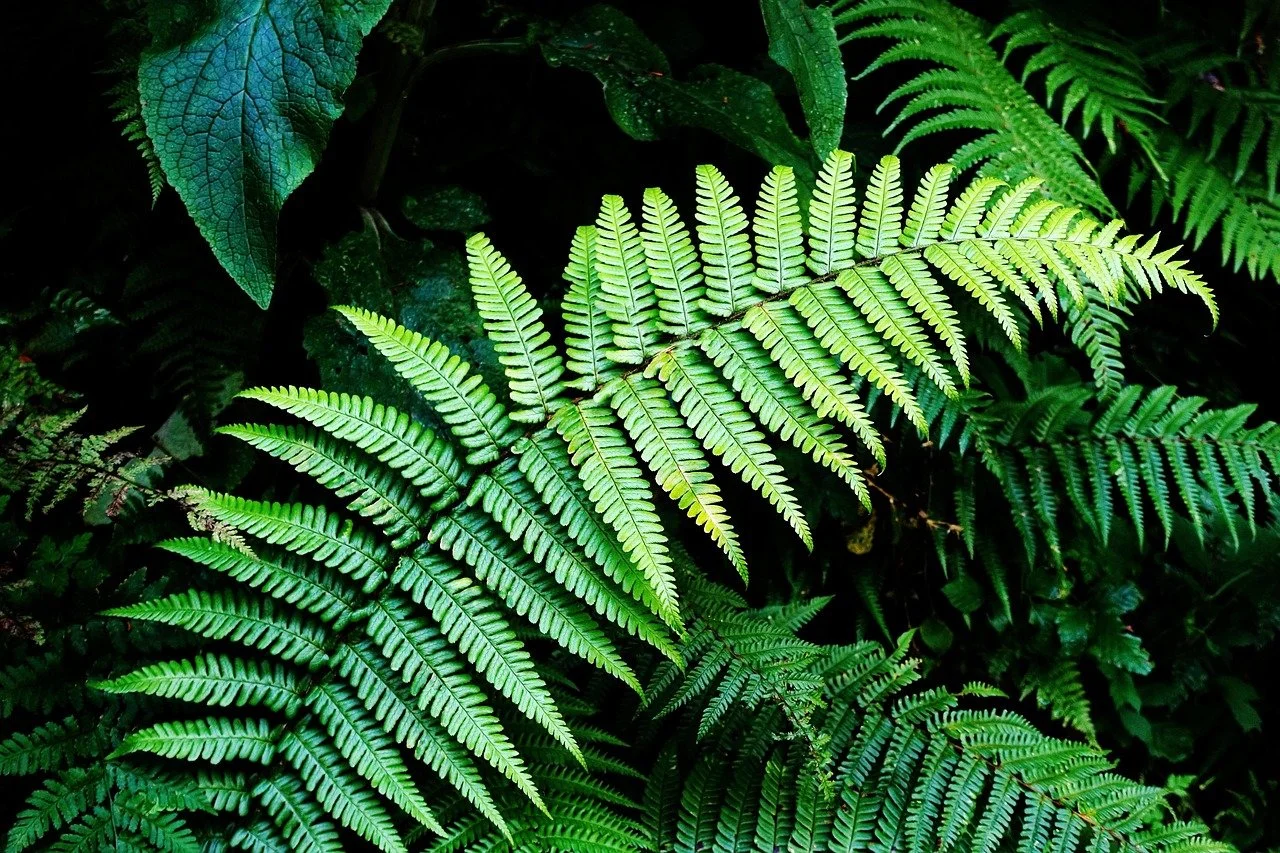 Miksi apteekeissa tarvitaan vuorovaikutusvalmentajaa juuri nyt?