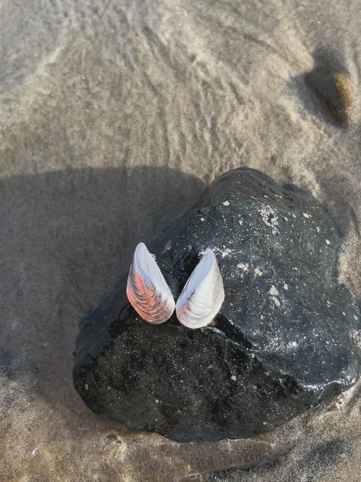 When the days turn grey, I like to wear something that reminds me of salt and sunlight.
Altea earrings &mdash; crafted by hand from the memory of summer.
#kaltjewellery #musselearrings #musling&oslash;reringe #copenhagenjewellery #statementearrings #